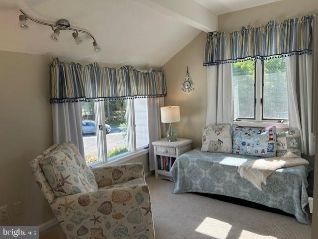 OCEAN PINES - WOOD DUCK II - Residential