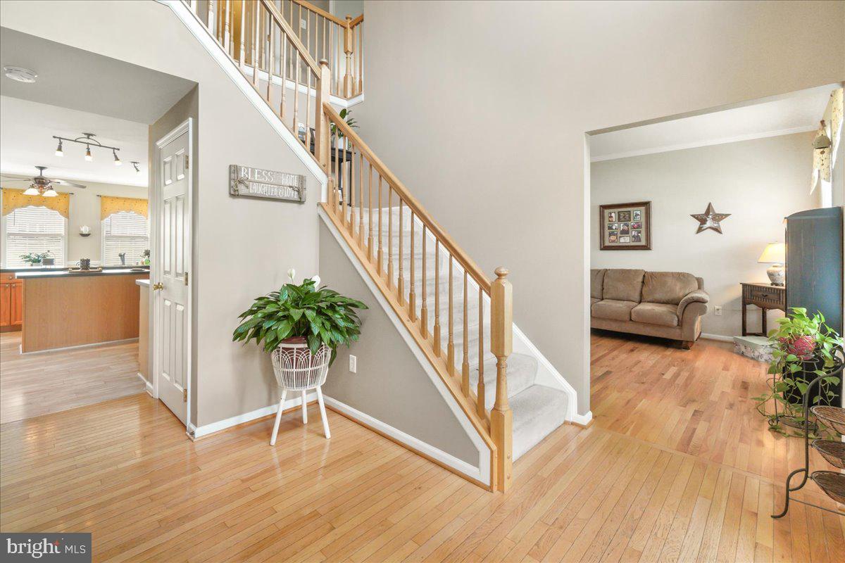 CANNON RIDGE - Residential
