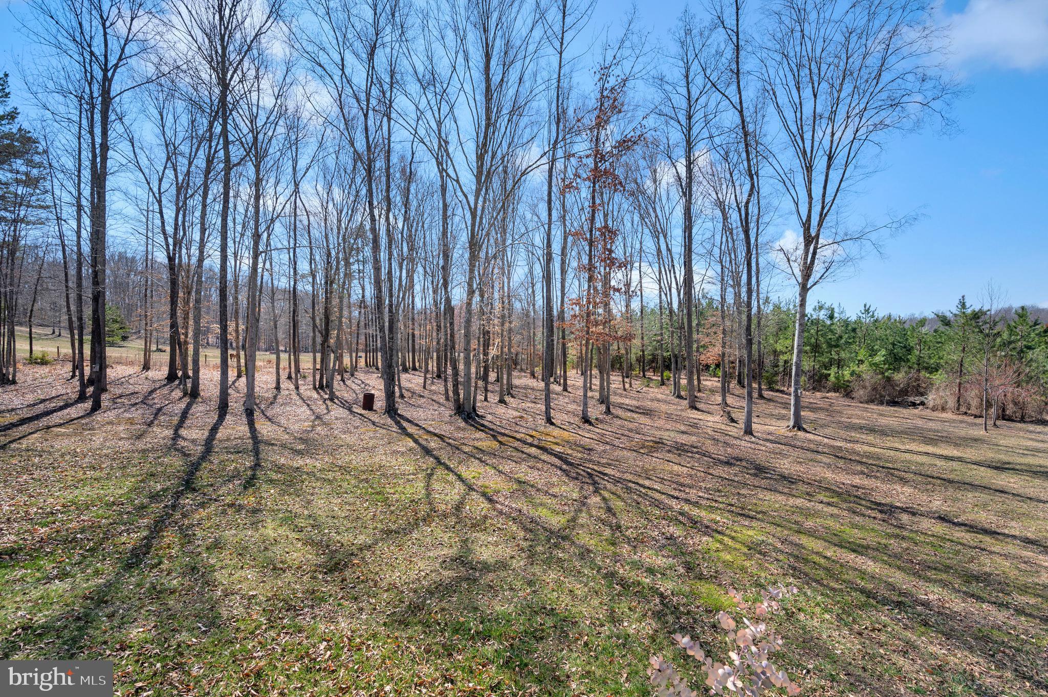 APPLE GROVE - Residential