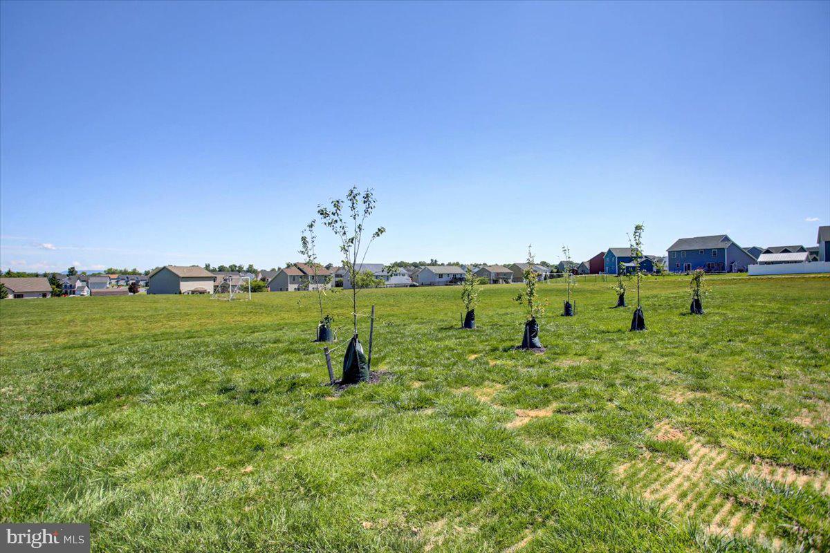 SOUTHWOOD CROSSING - Residential