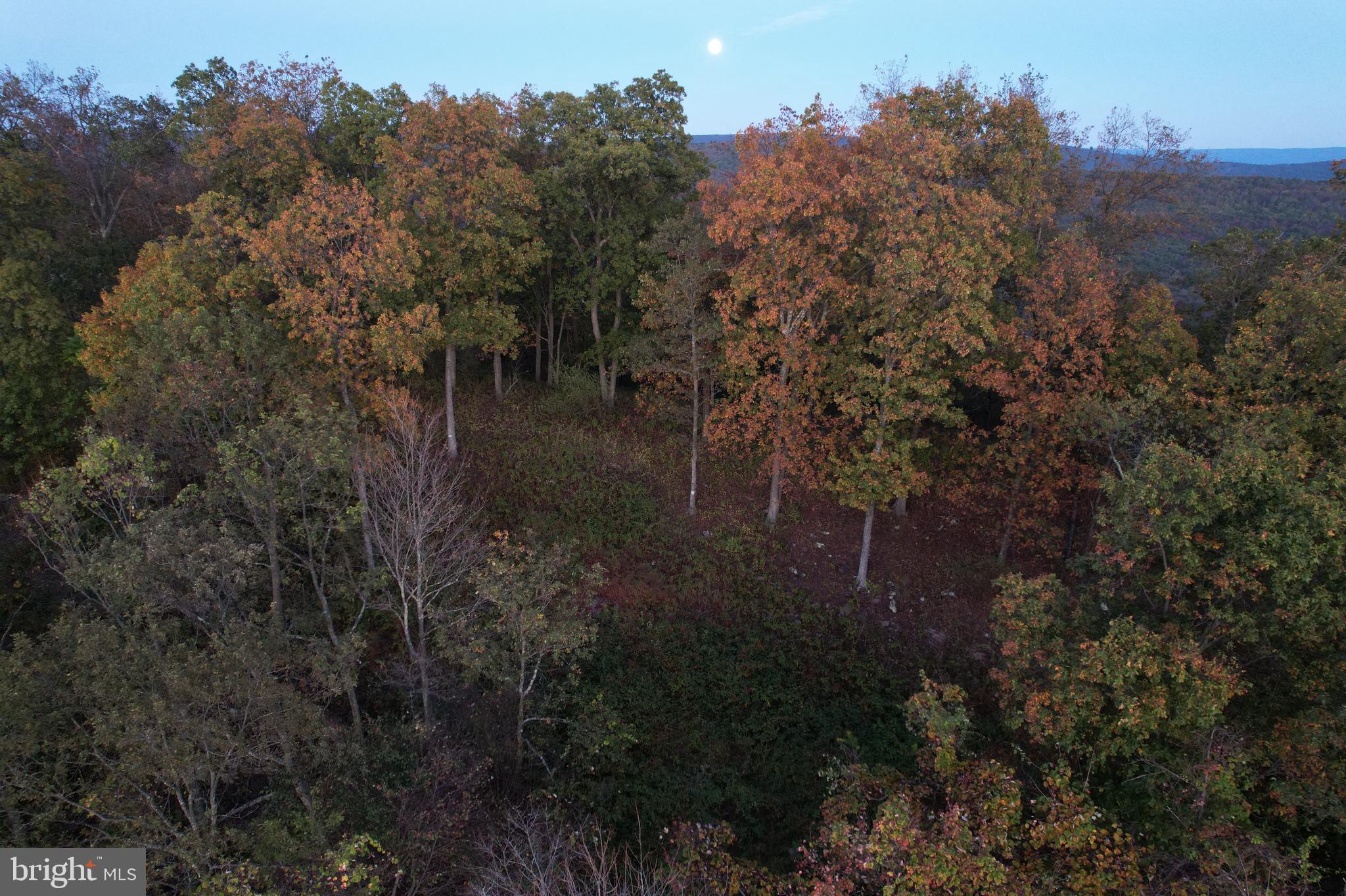 10acre wooded building lot recently surveyed, and perk tested ready to build your wooded mountain getaway on, property is very secluded and close to Pa Game Lands 049. Very easy to access from a township road.
