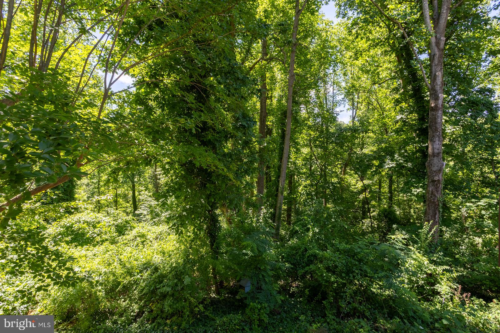 OAKMONT - Residential