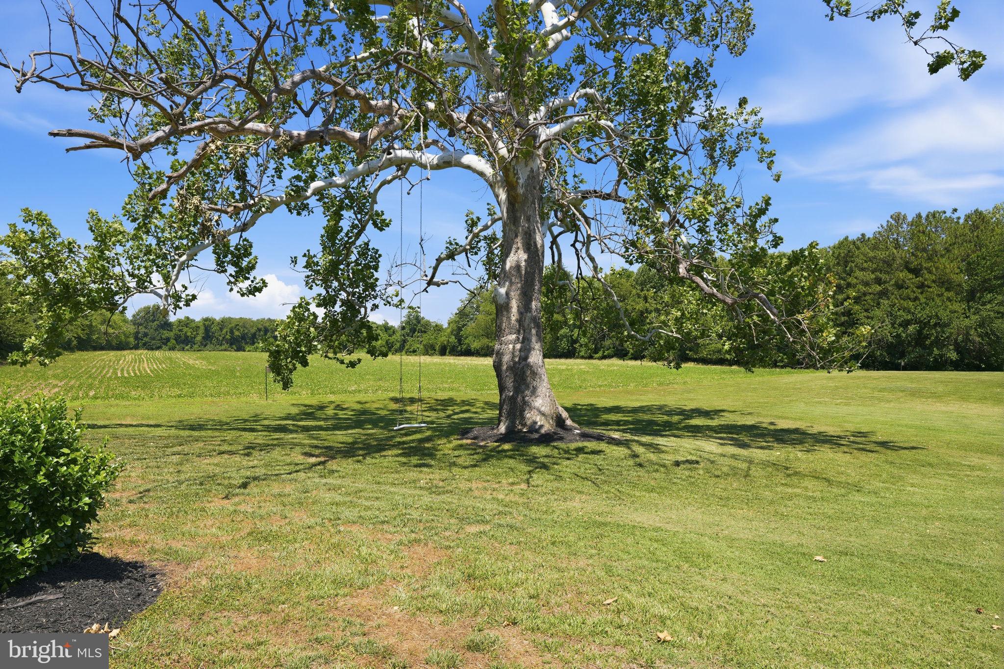 LOVE POINT - Residential