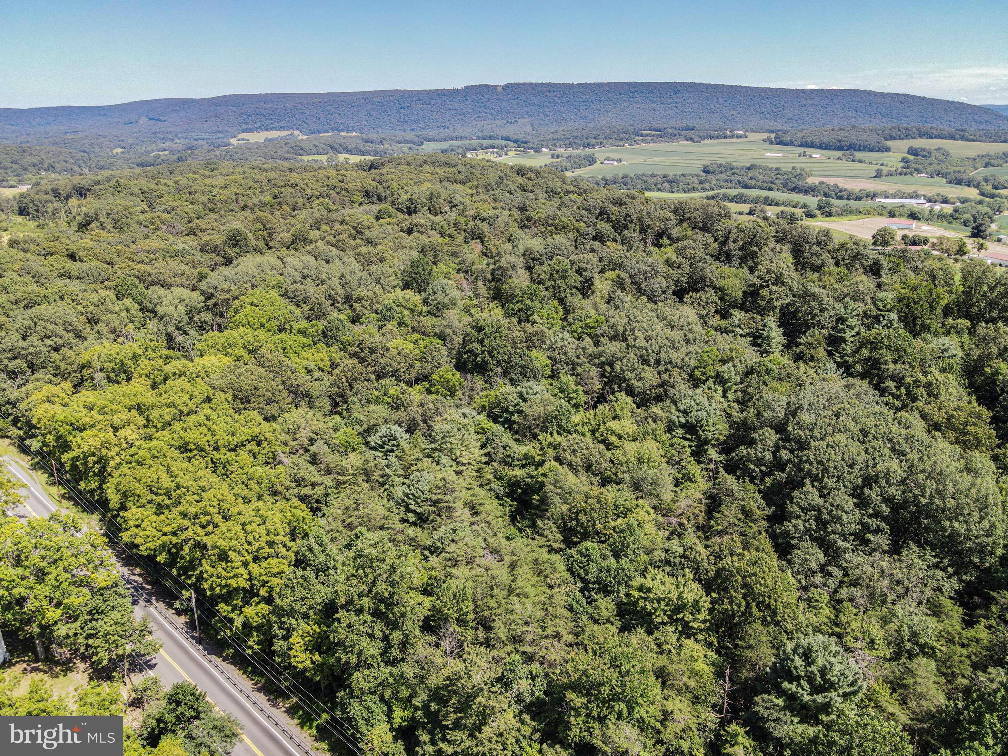 Professional photography coming soon! Beautiful 21 acre wooded parcel located between Halifax and Elizabethville and enrolled in clean and green. Bring your own builder to create your dream private oasis. There may be potential to subdivide this unimproved land into two parcels and remain in clean and green.