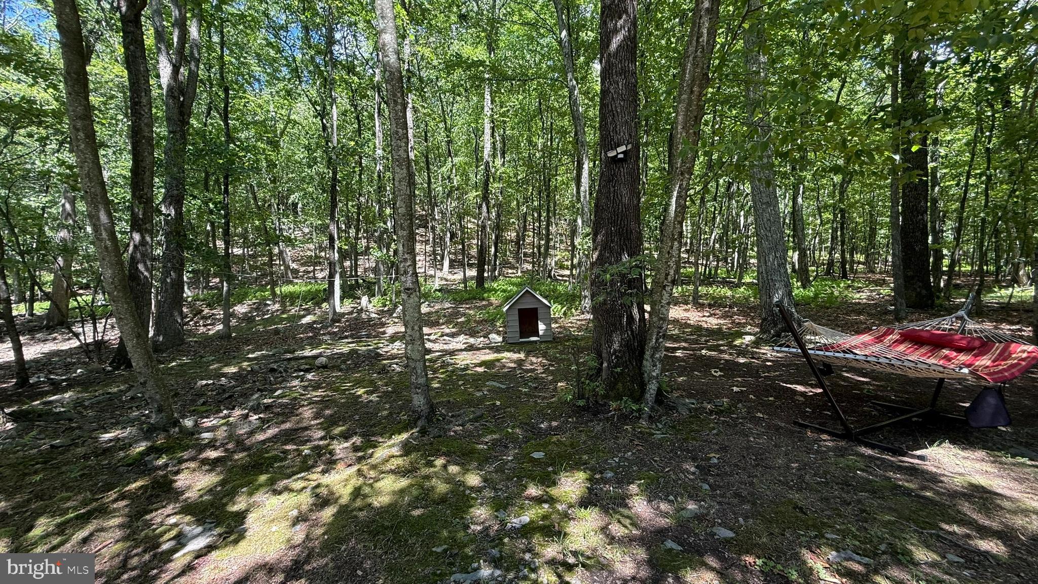 SAW CREEK ESTATES - Residential