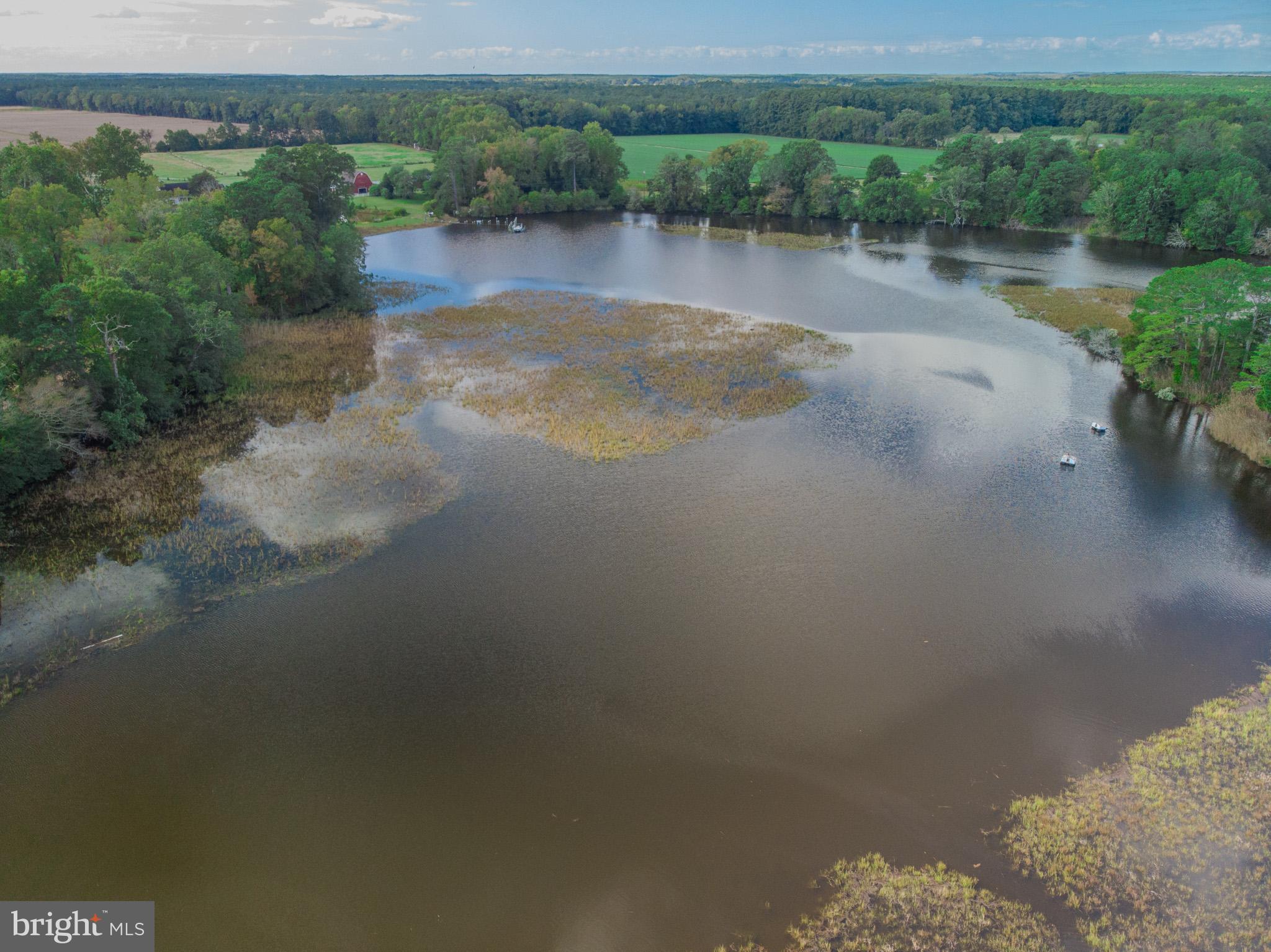 COVINGTON COVE - Land