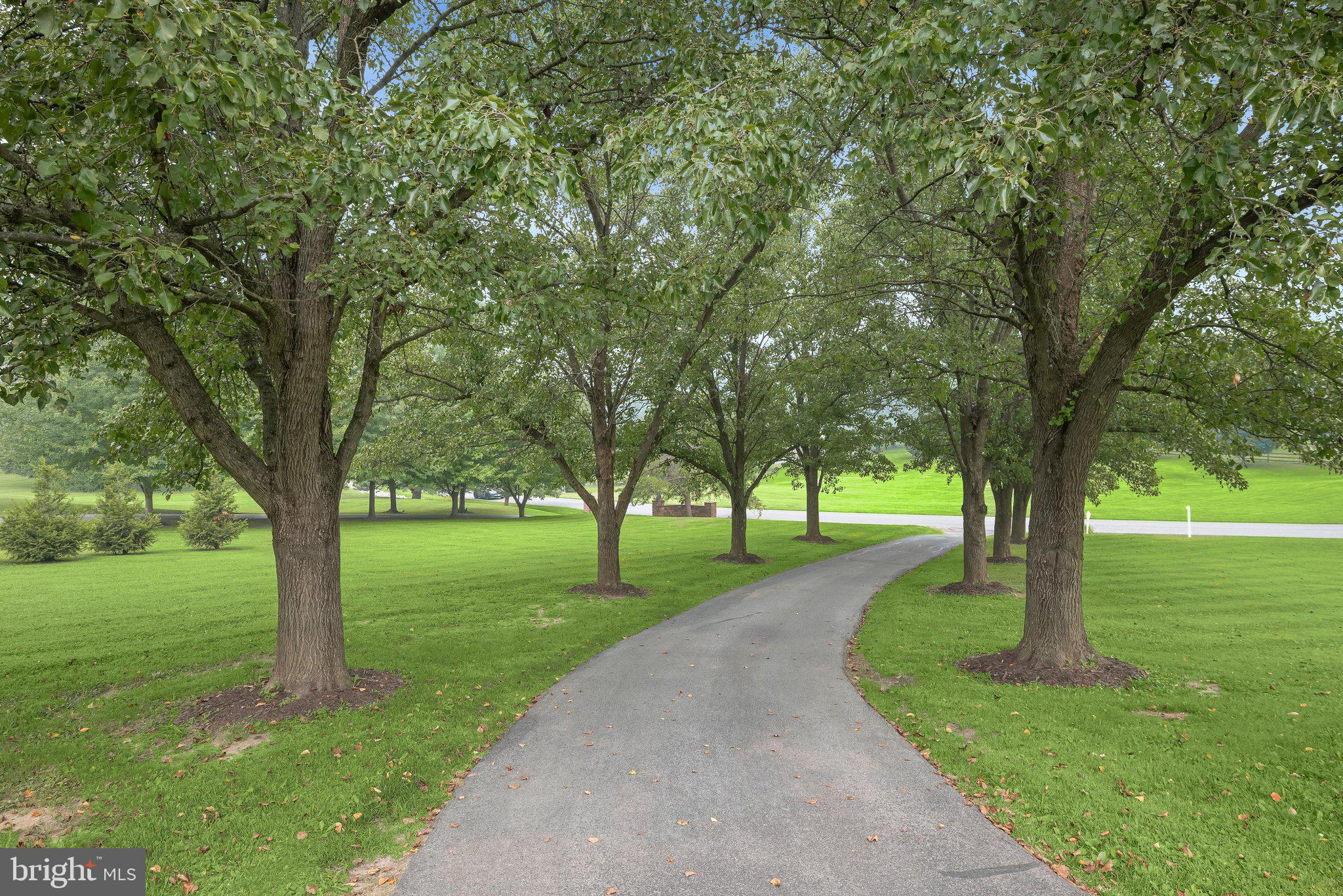 RIDGELY ESTATES - Residential