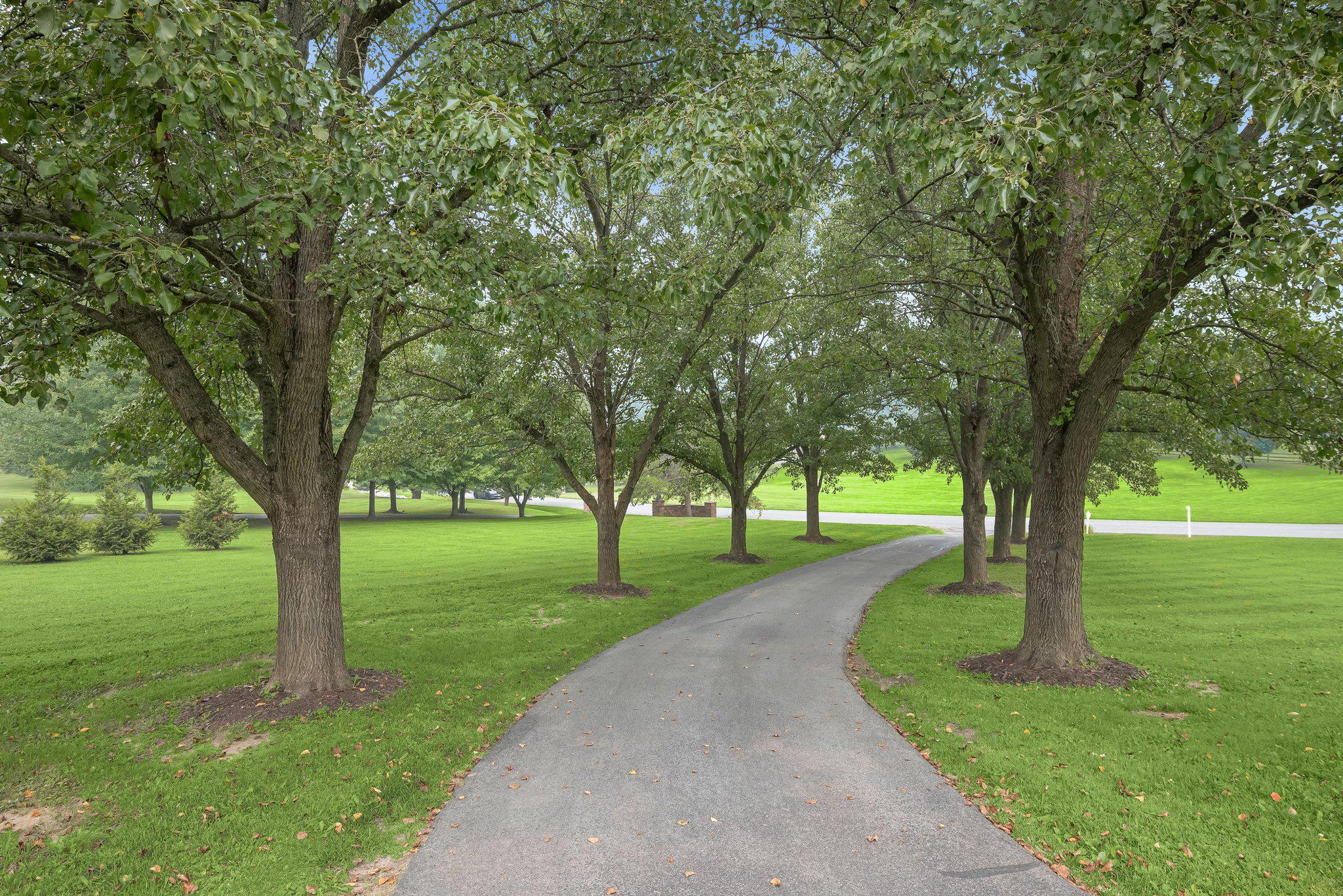 RIDGELY ESTATES - Residential