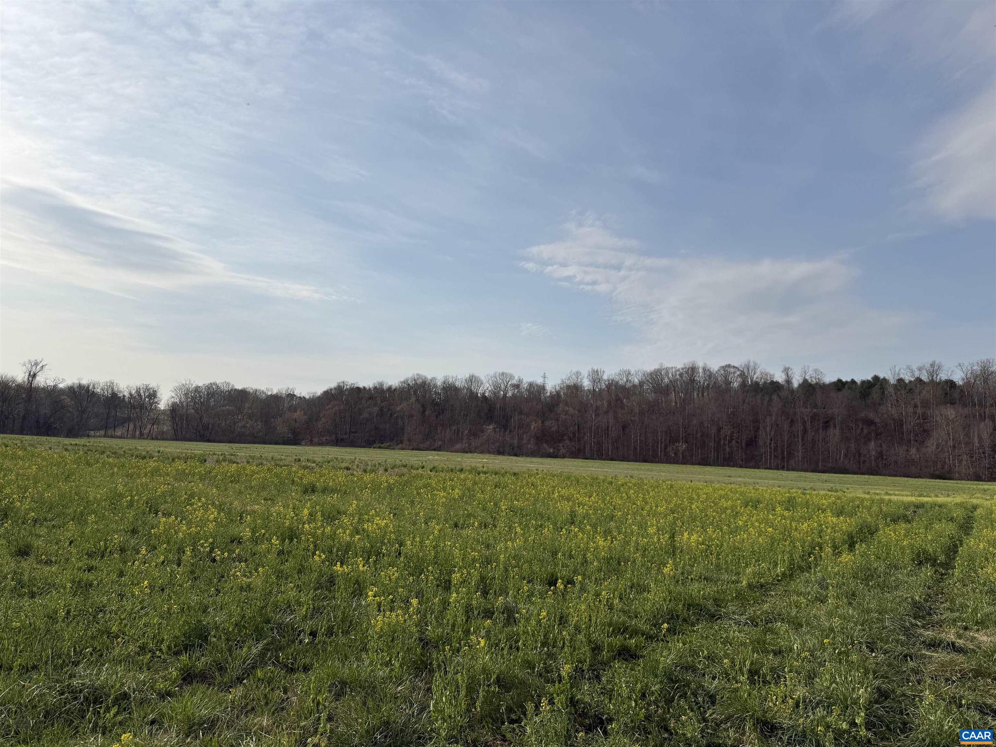 PAYNES MILL POND - Land