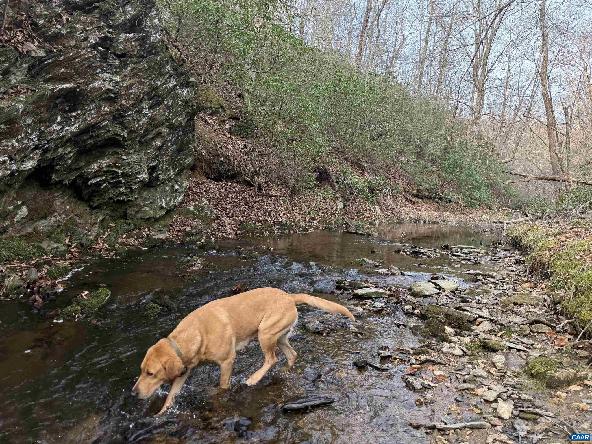 PAYNES MILL POND - Land