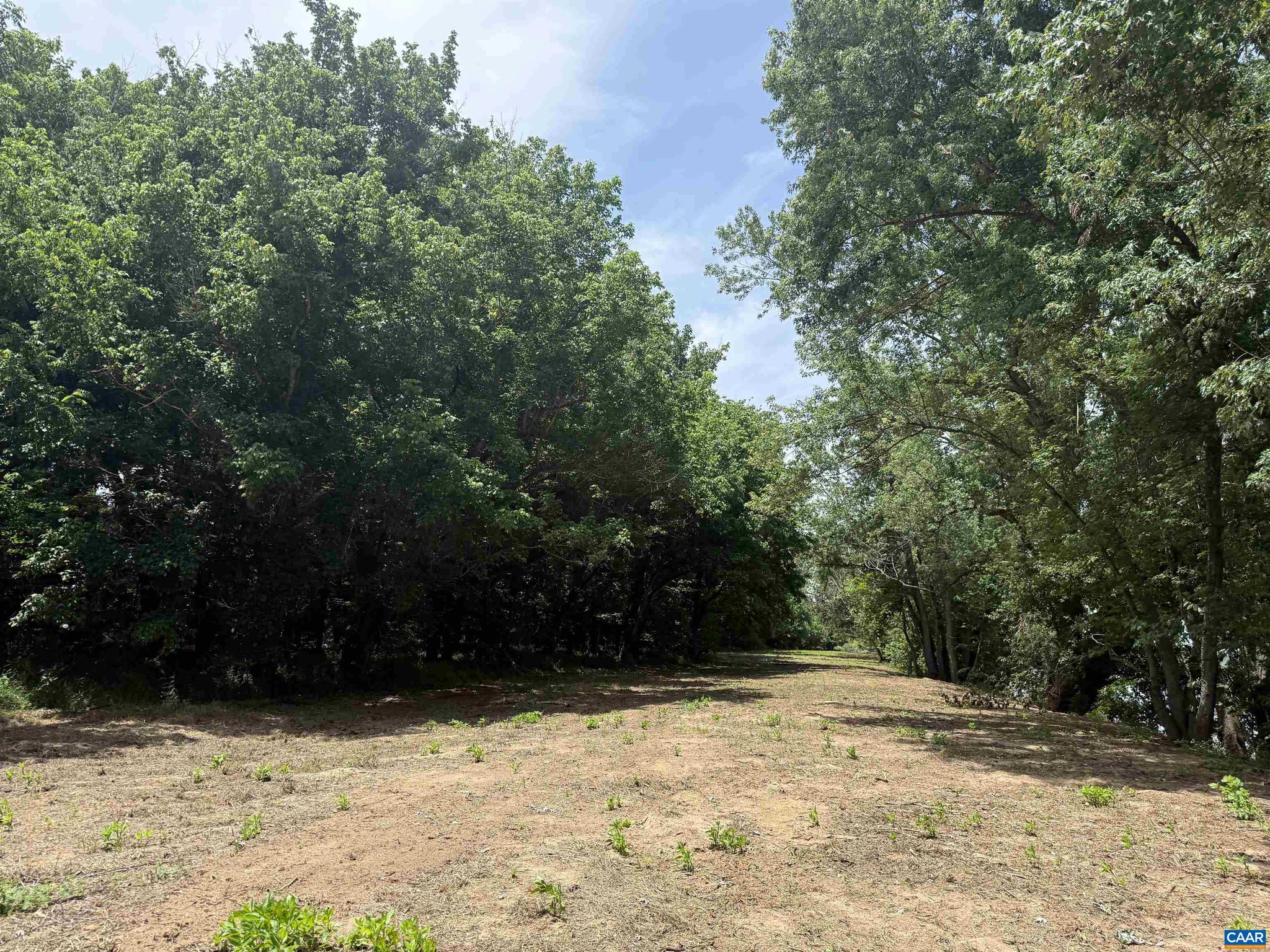 PAYNES MILL POND - Land
