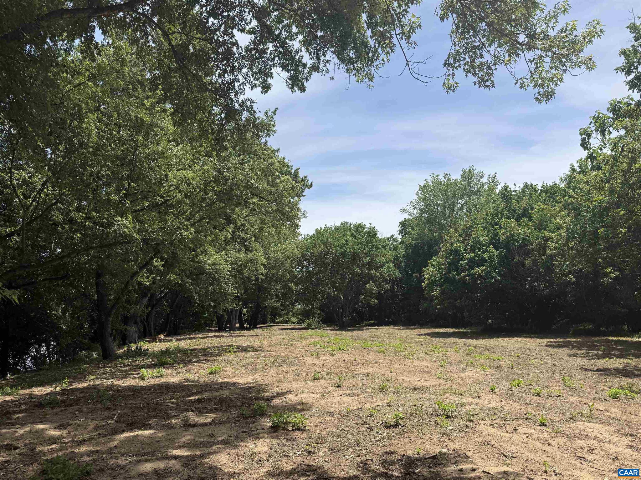 PAYNES MILL POND - Land