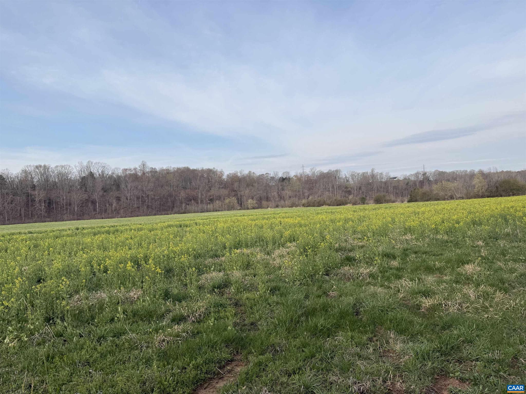 PAYNES MILL POND - Land