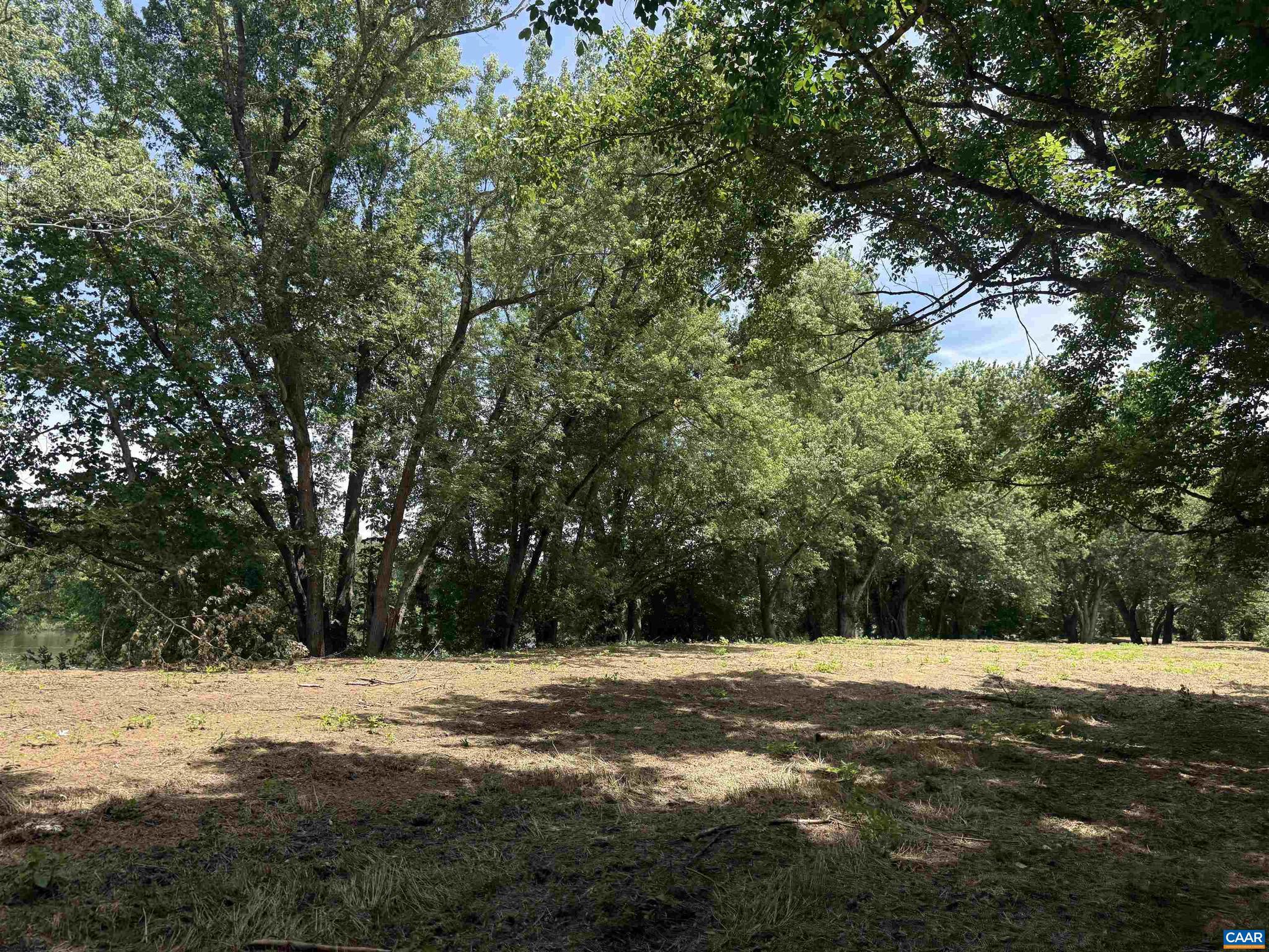 PAYNES MILL POND - Land