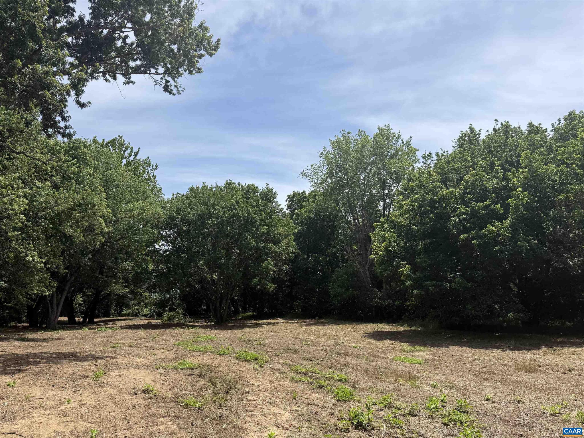 PAYNES MILL POND - Land