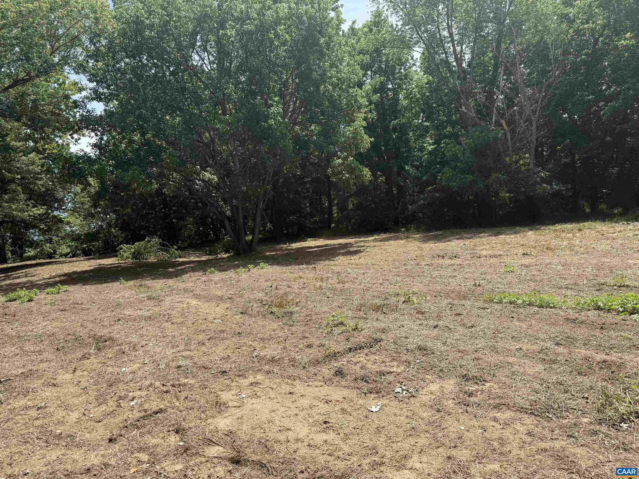 PAYNES MILL POND - Land
