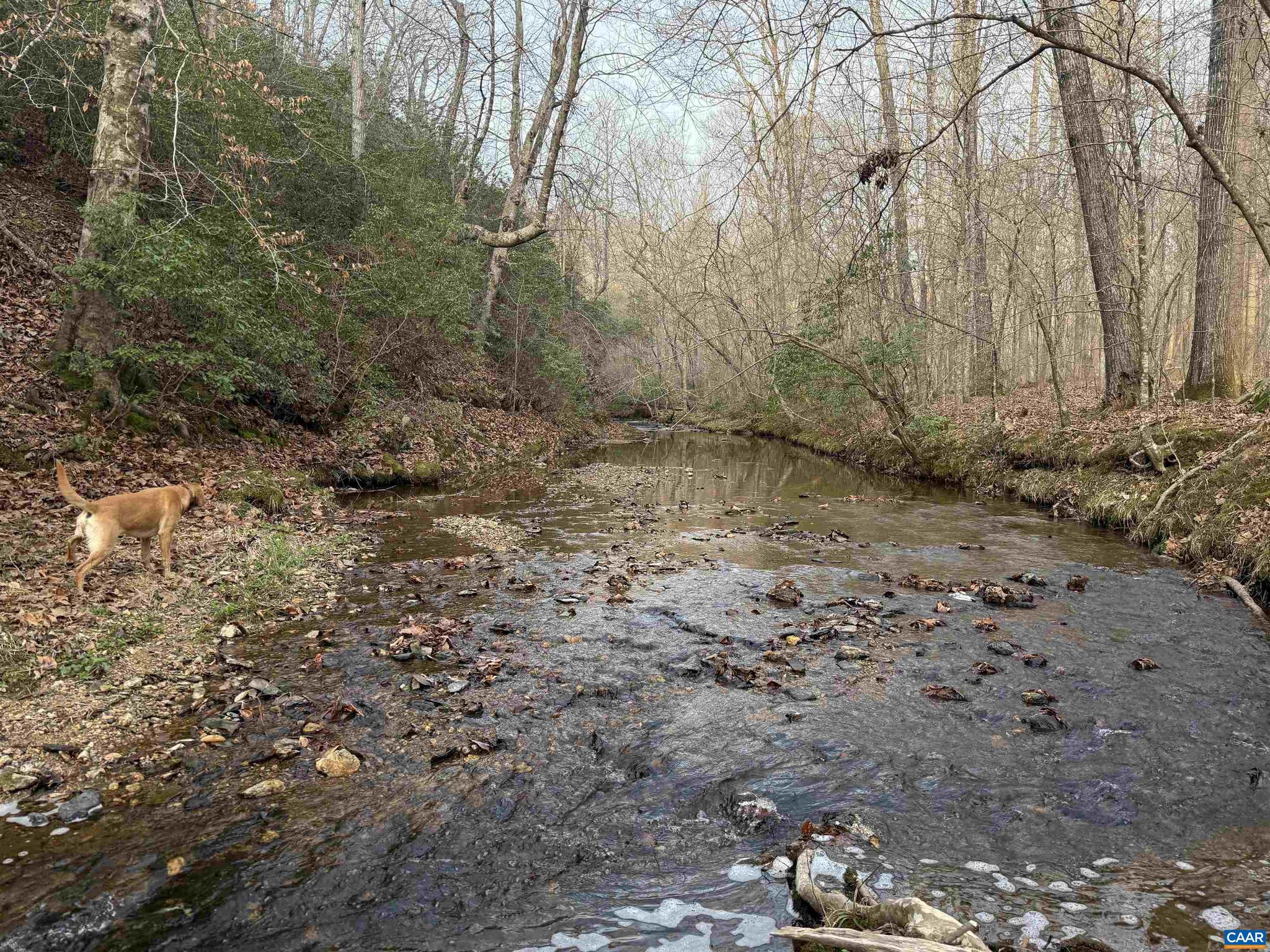 PAYNES MILL POND - Land