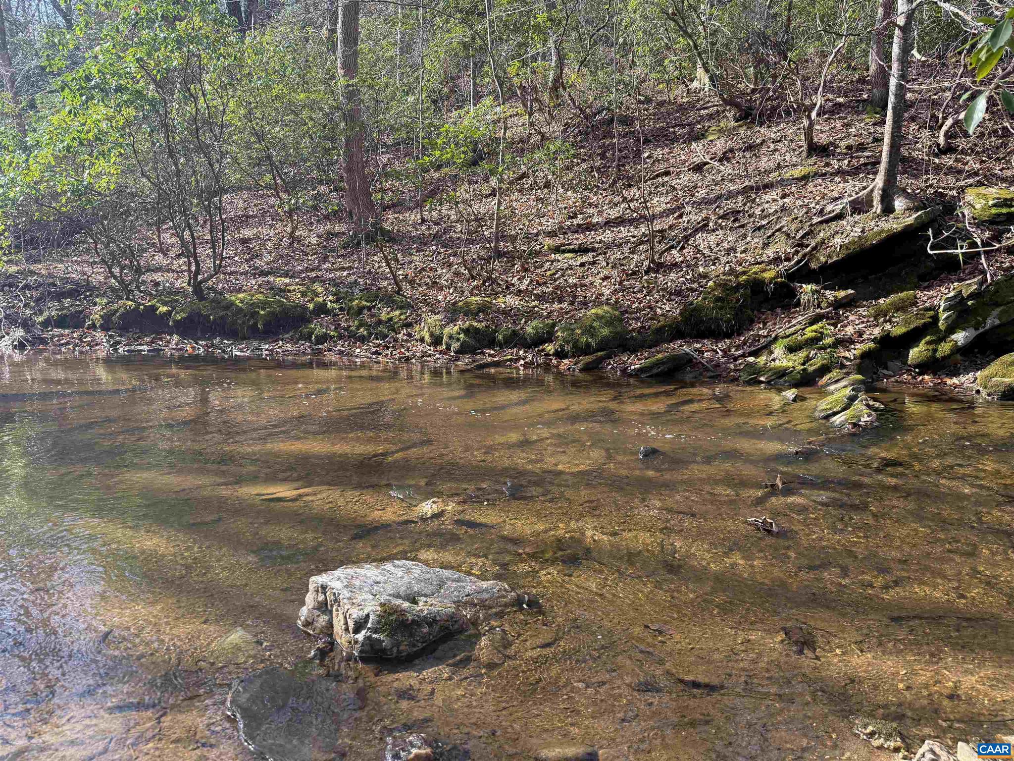 PAYNES MILL POND - Land