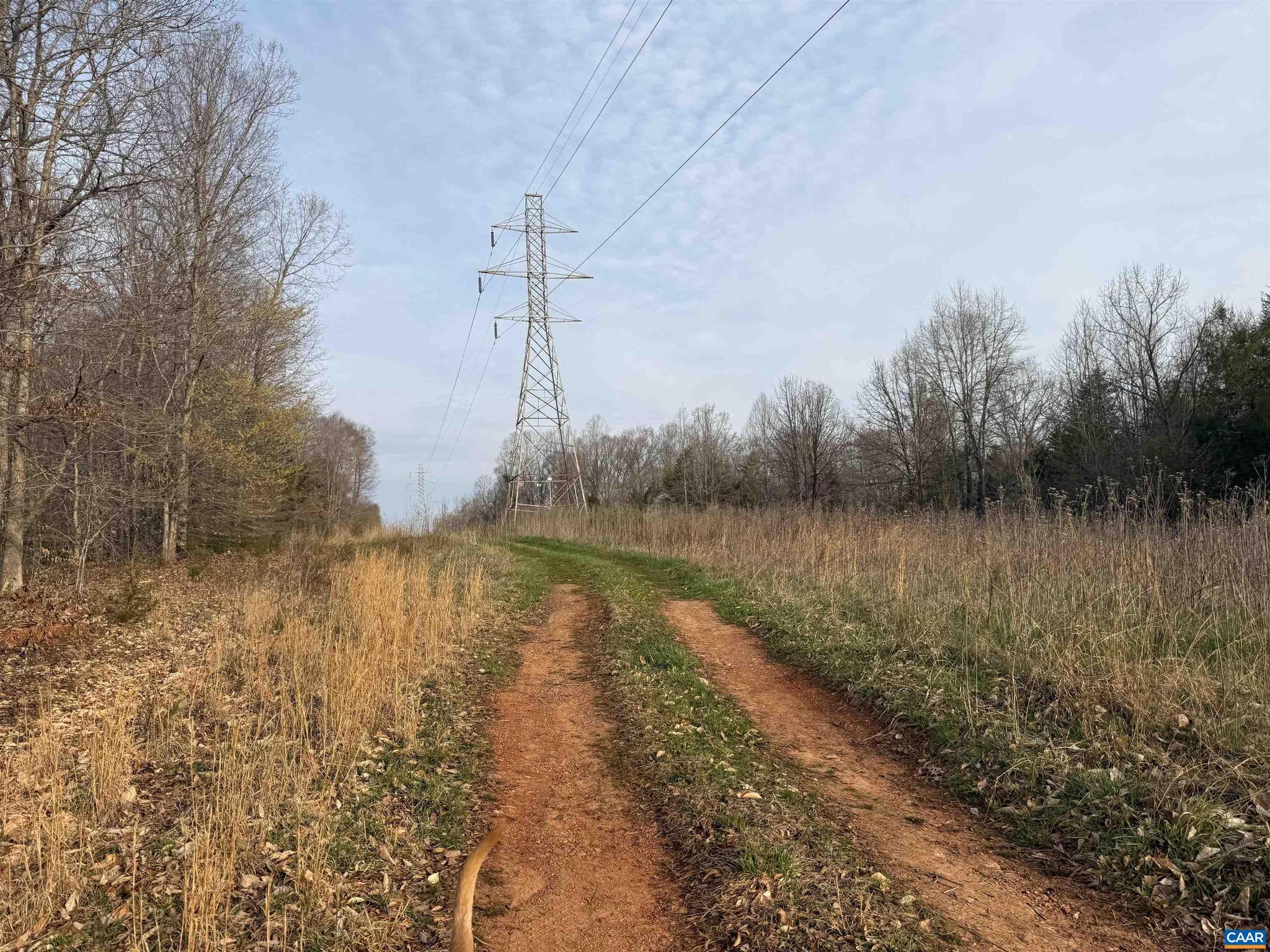 PAYNES MILL POND - Land