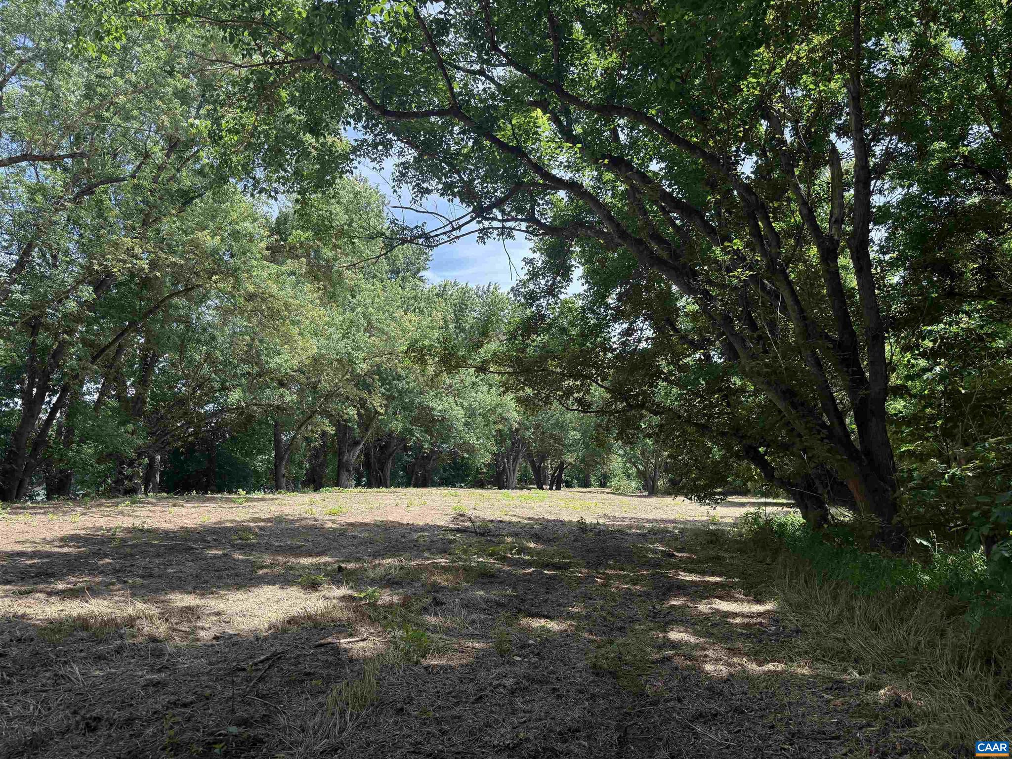 PAYNES MILL POND - Land
