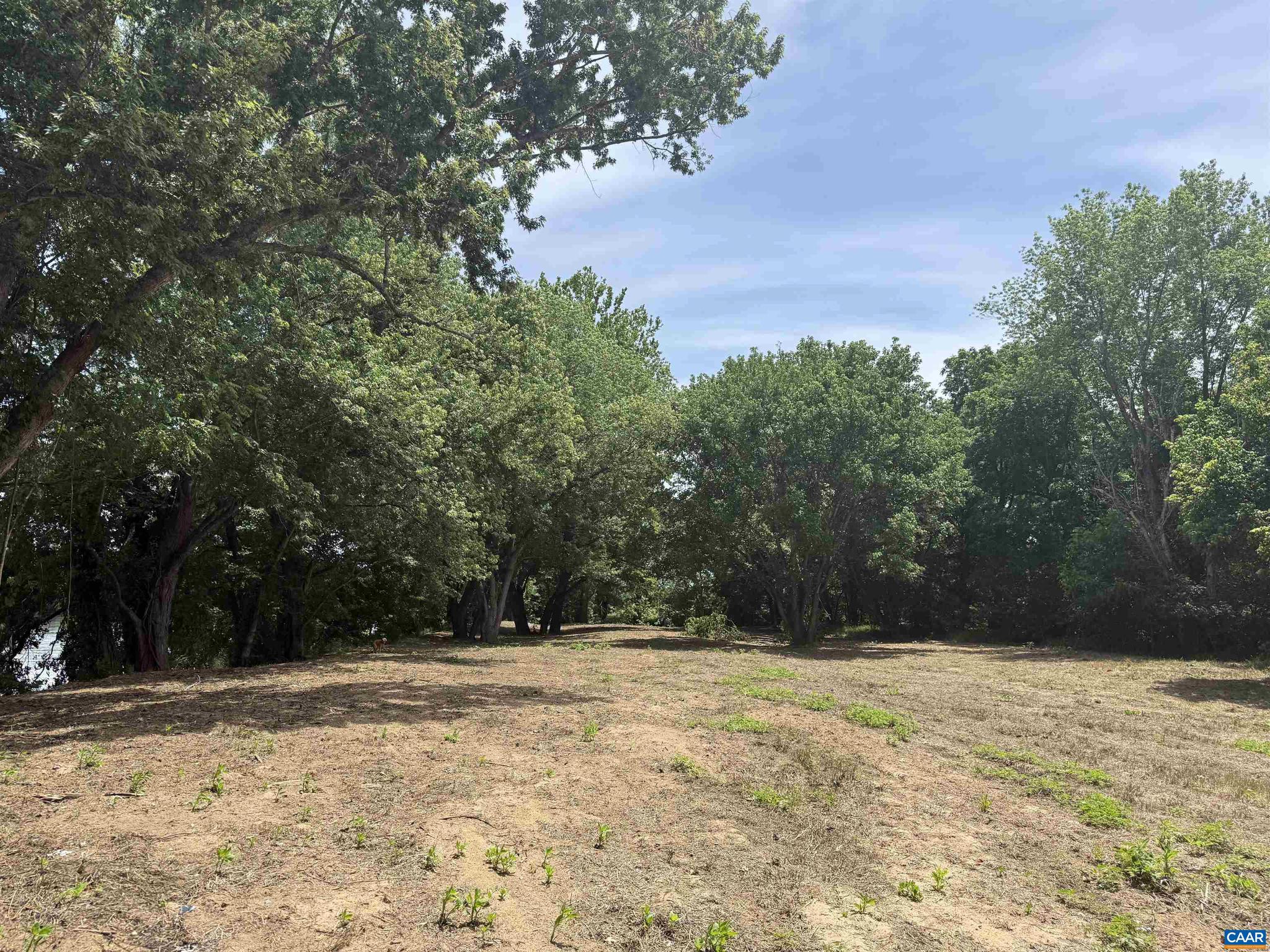 PAYNES MILL POND - Land