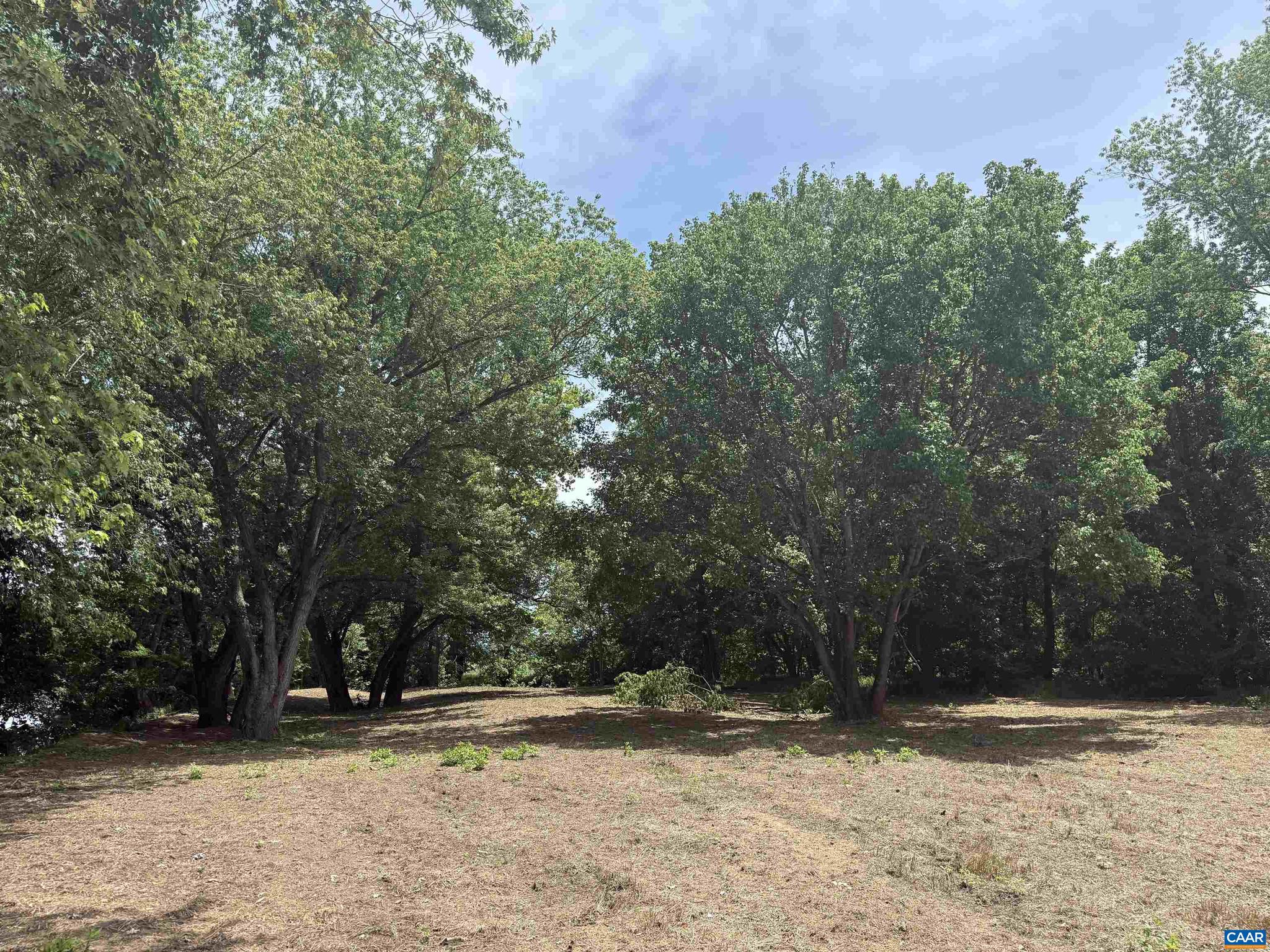PAYNES MILL POND - Land
