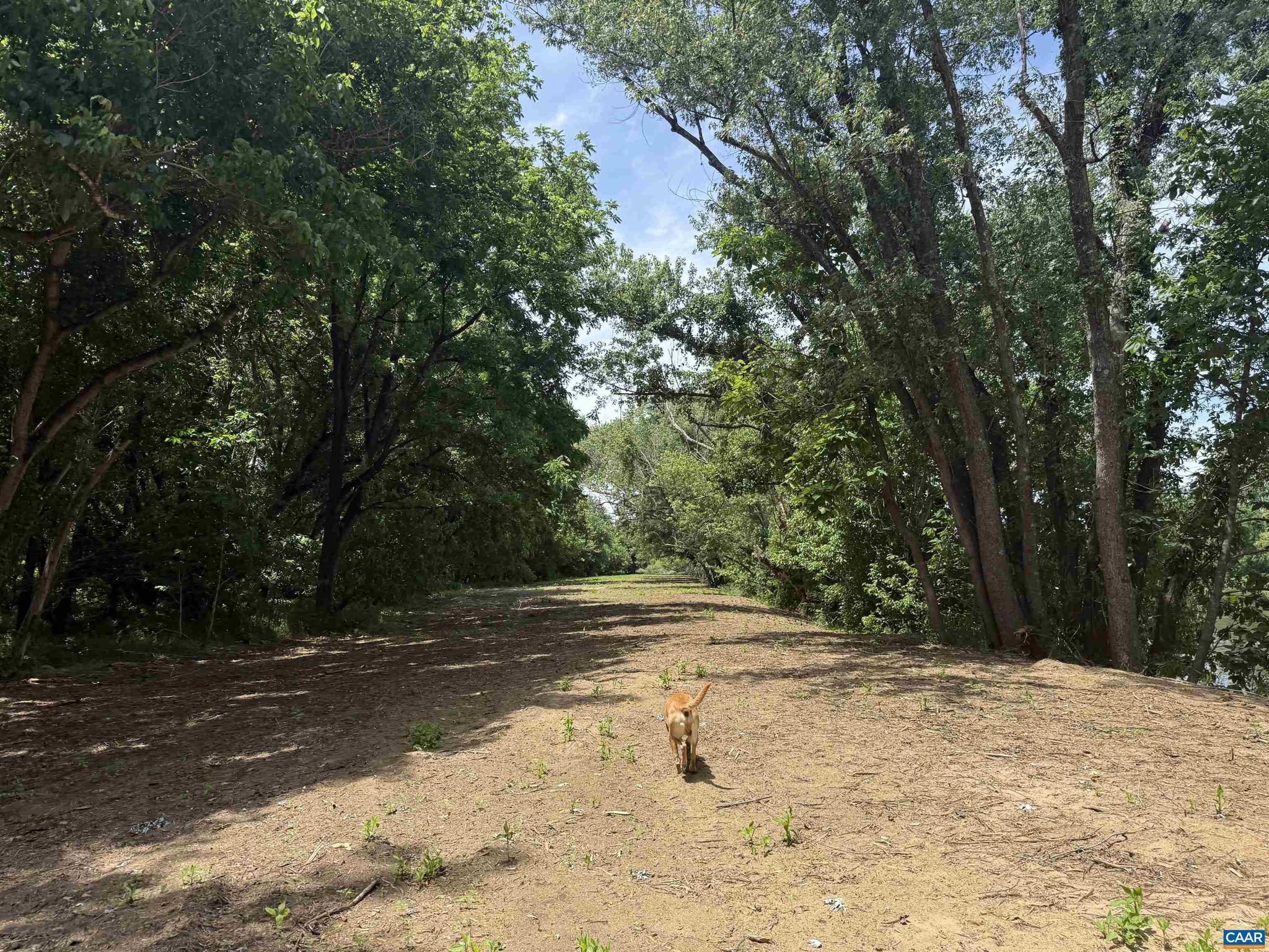 PAYNES MILL POND - Land