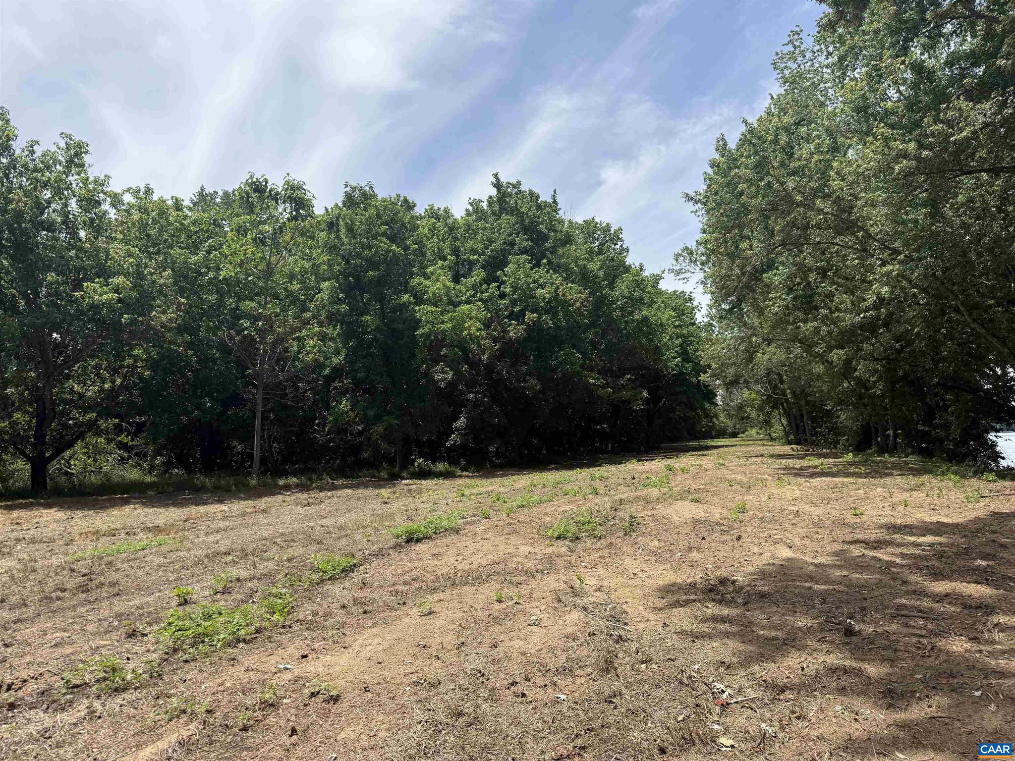 PAYNES MILL POND - Land