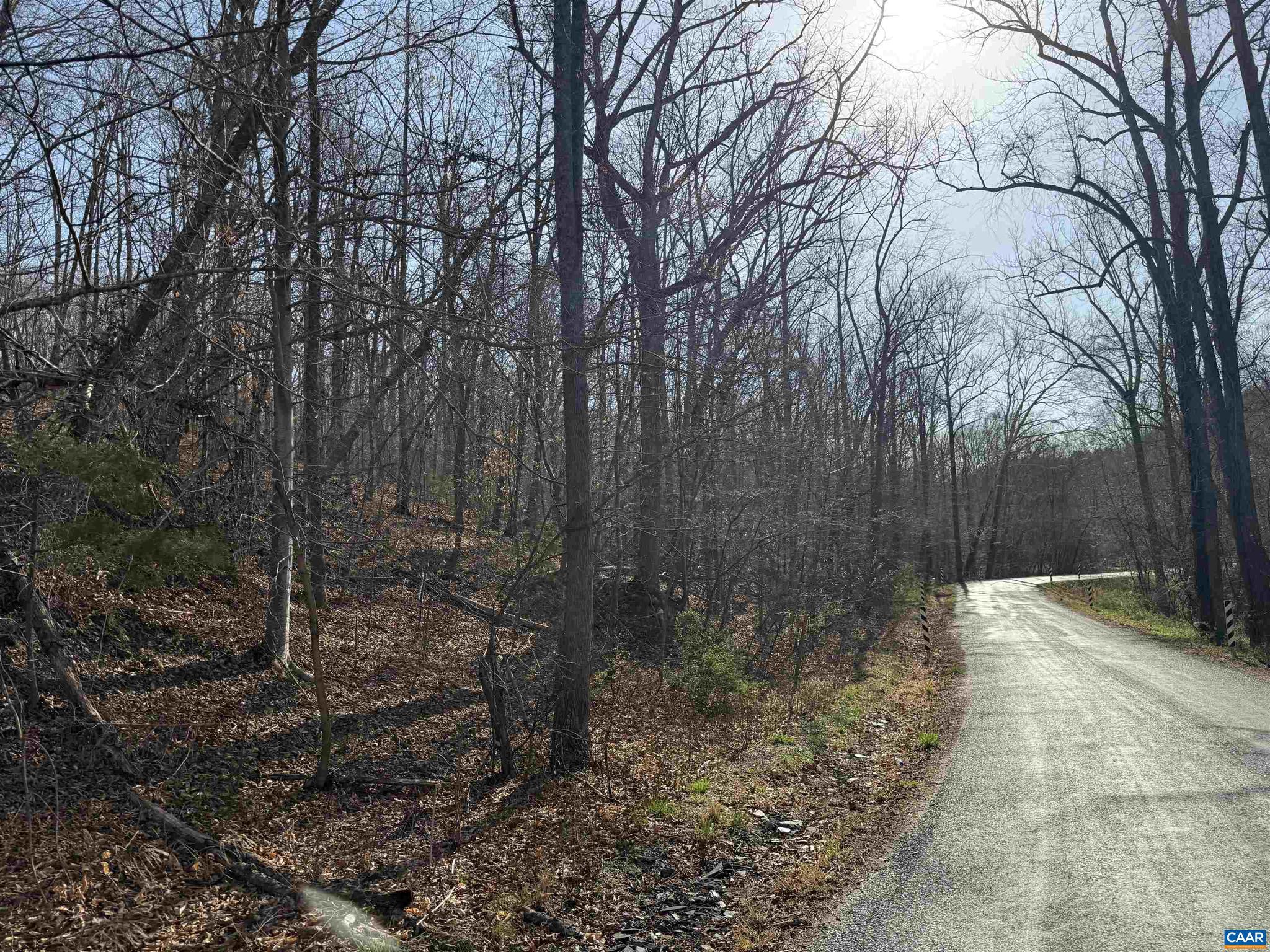 PAYNES MILL POND - Land