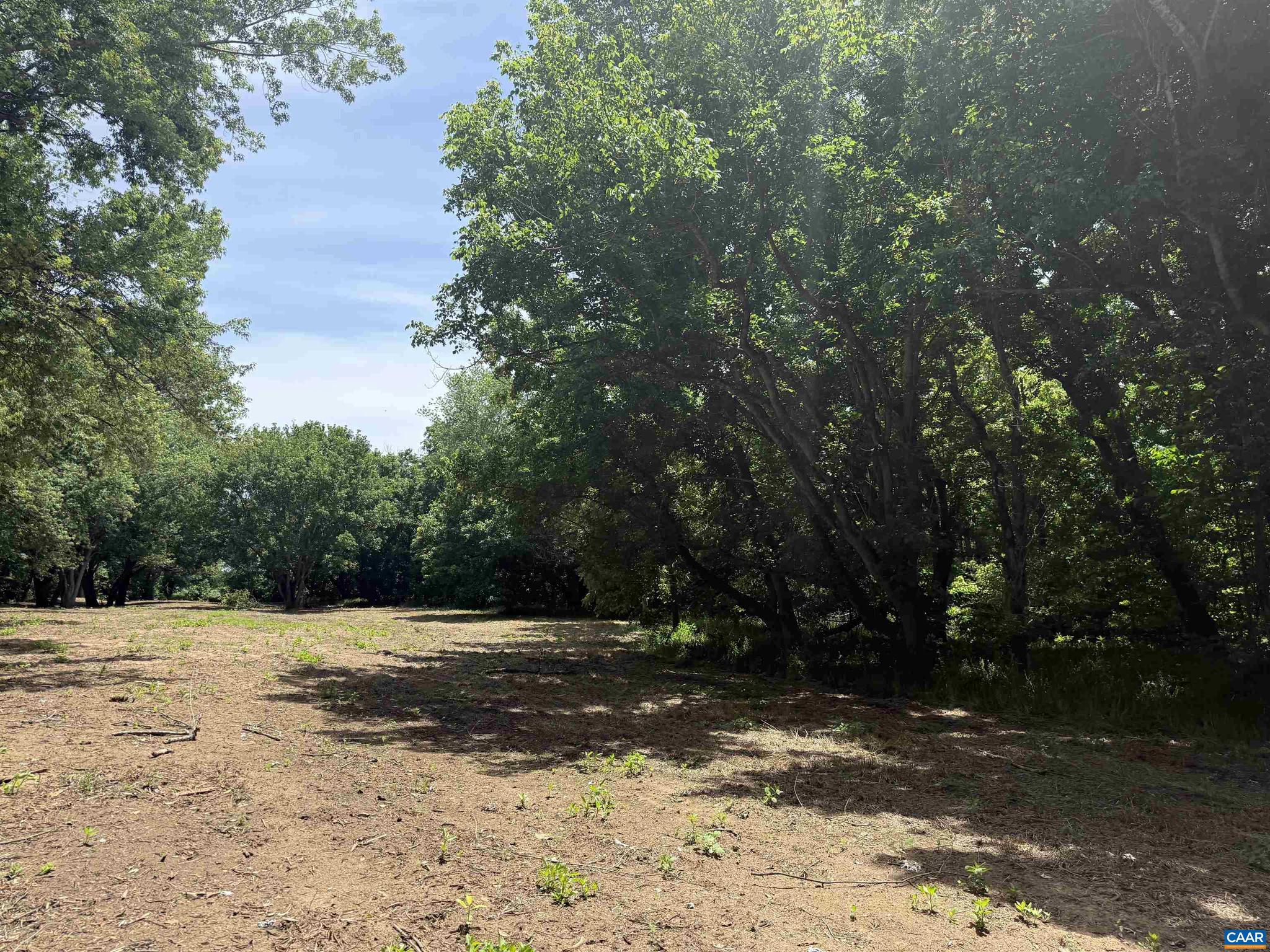 PAYNES MILL POND - Land