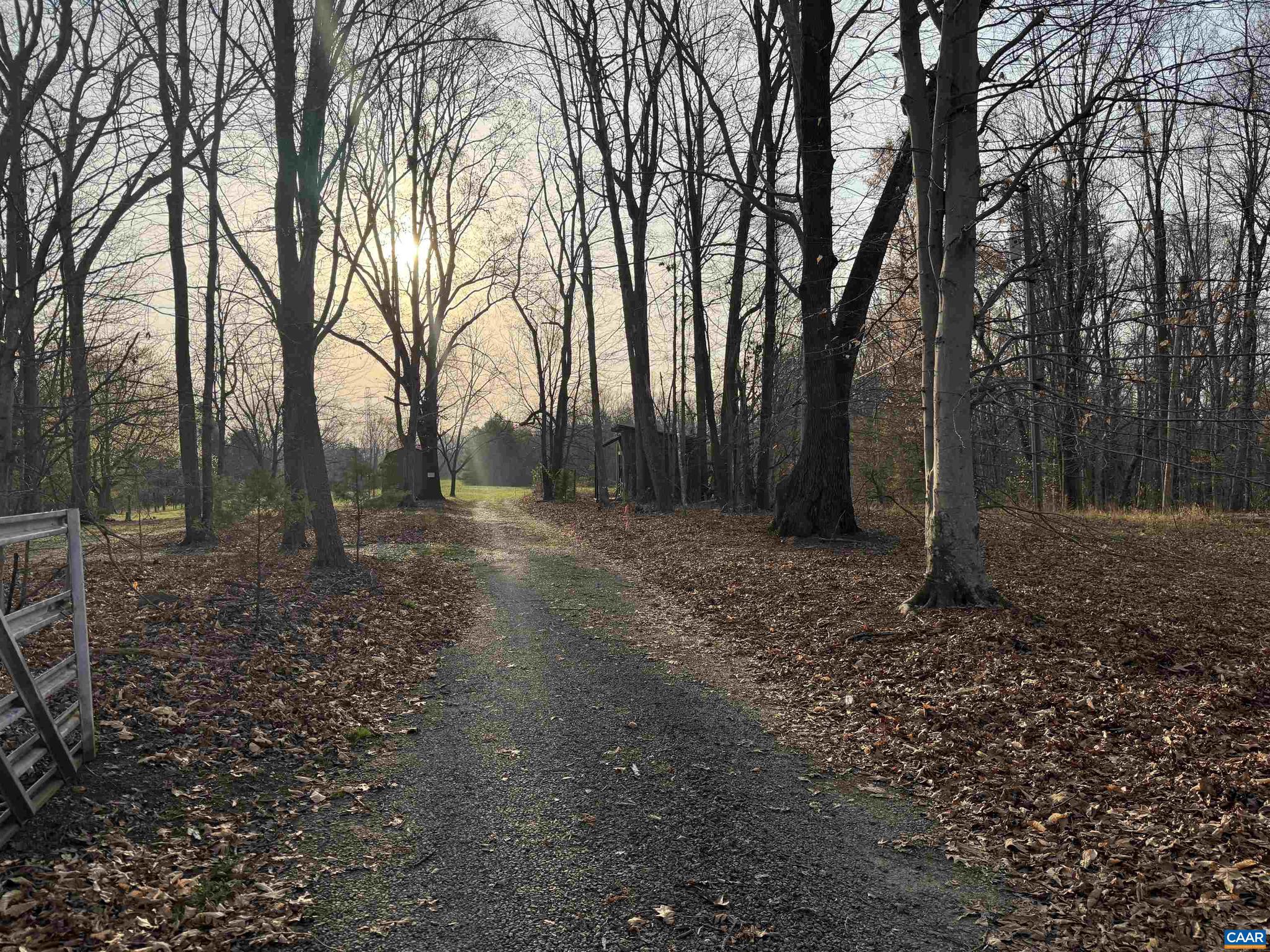 PAYNES MILL POND - Land