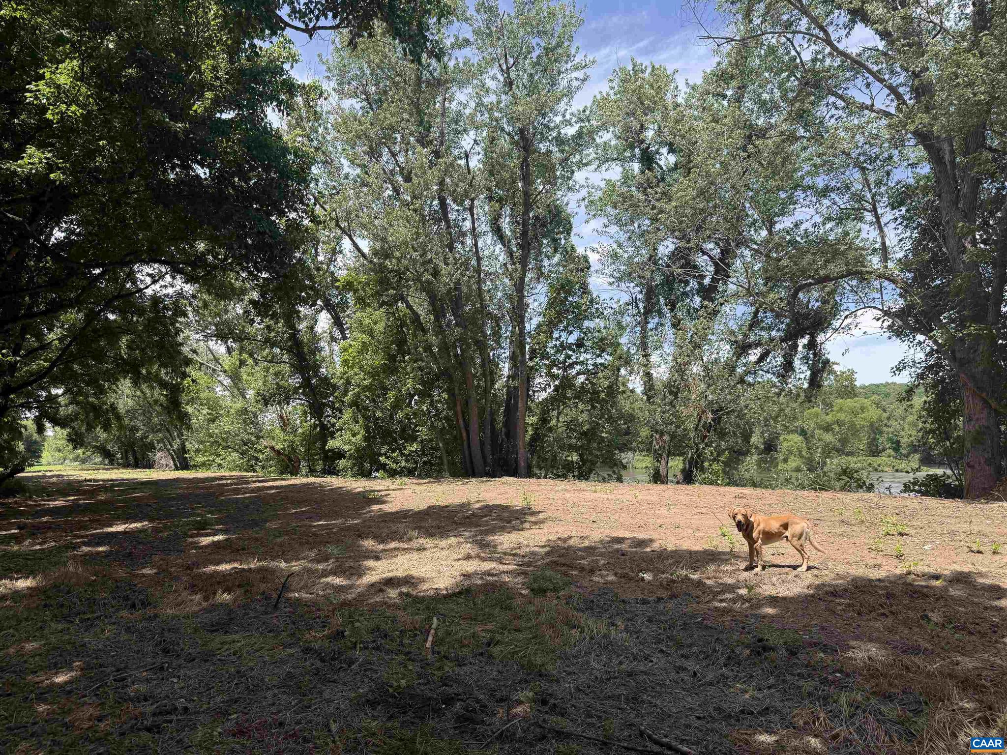 PAYNES MILL POND - Land