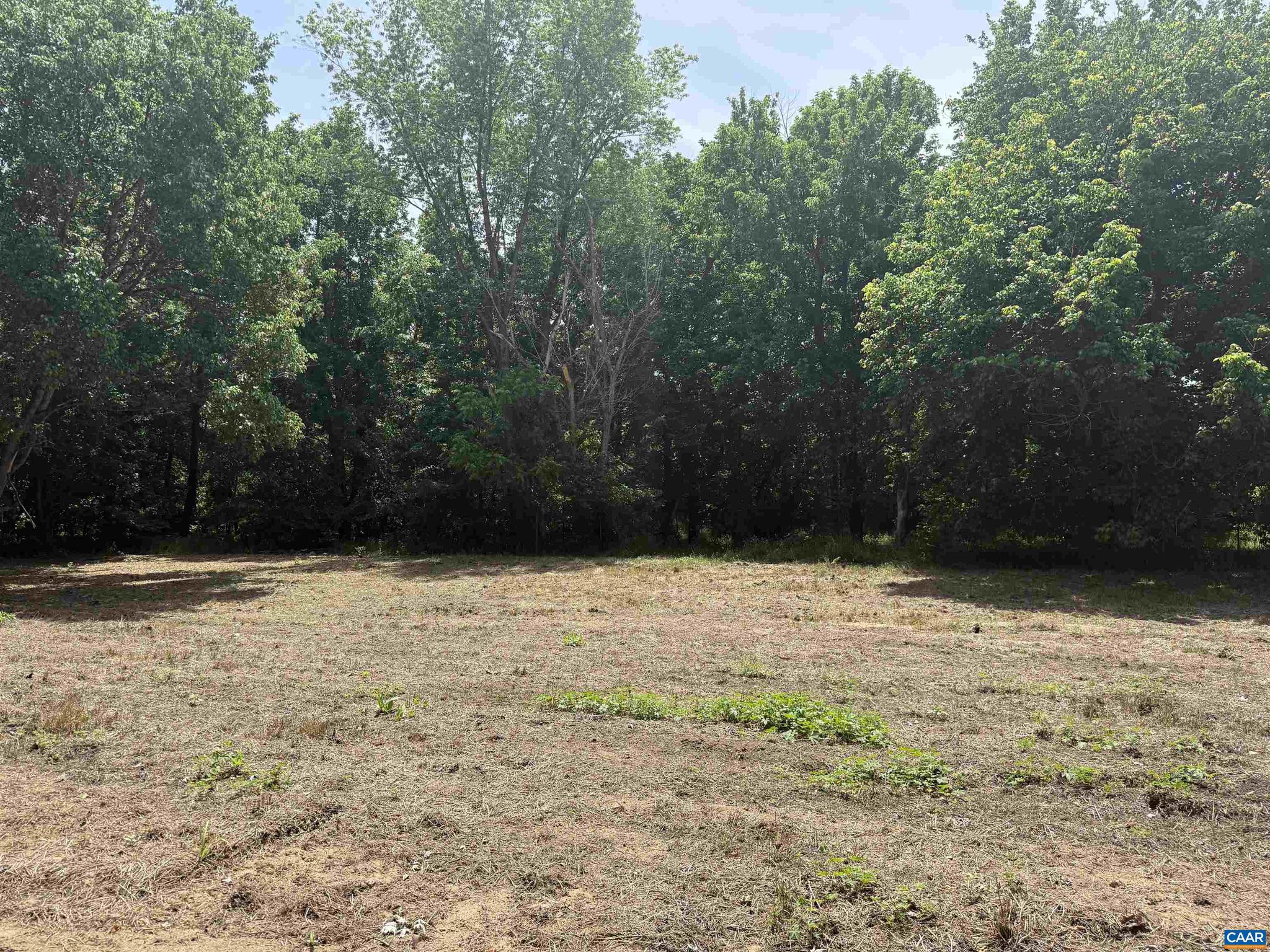 PAYNES MILL POND - Land