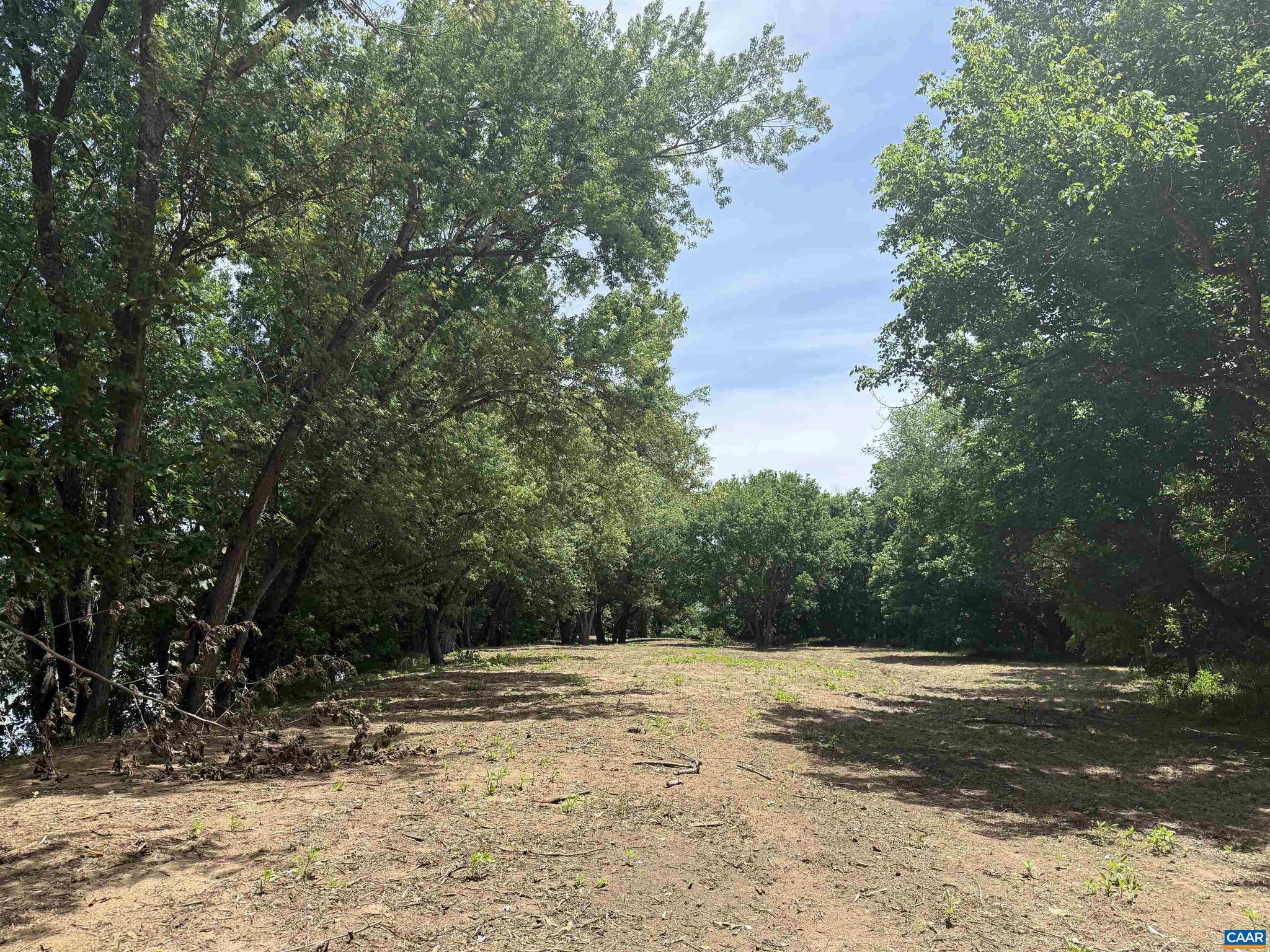 PAYNES MILL POND - Land
