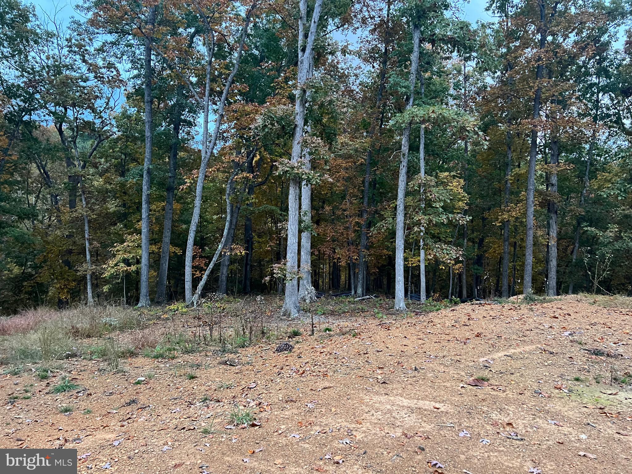 WOODLAND SPRINGS - Residential