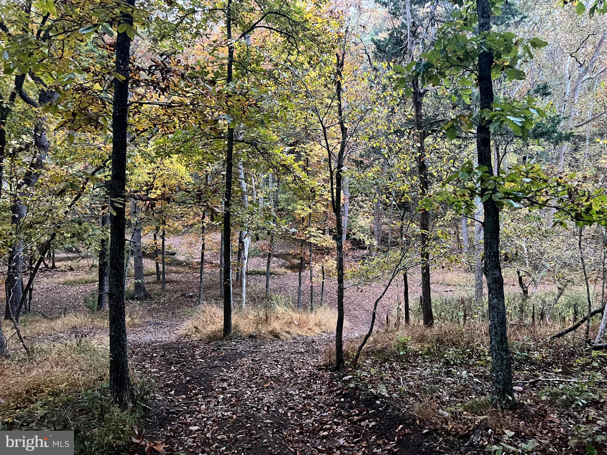 WOODLAND SPRINGS - Residential