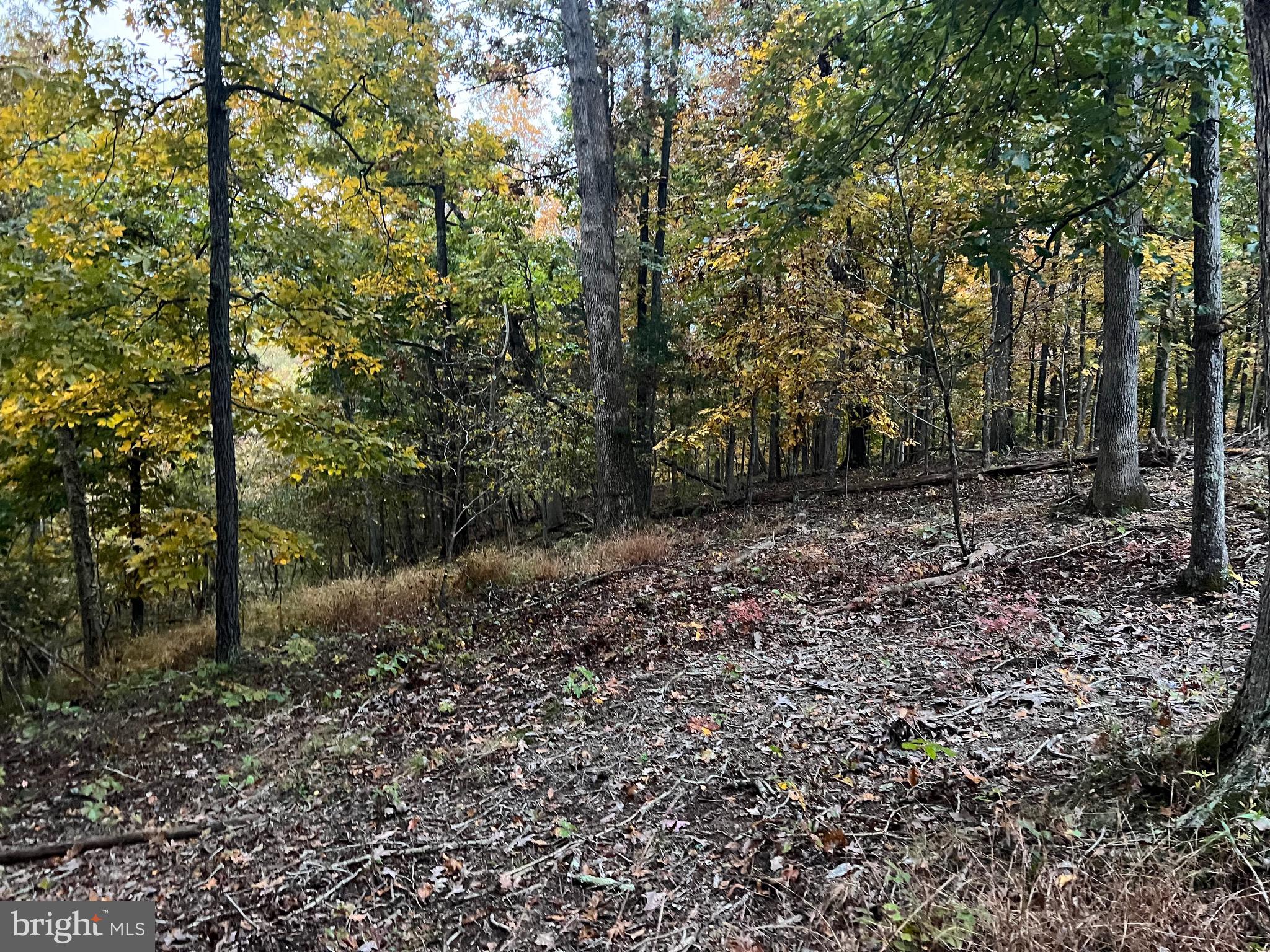 WOODLAND SPRINGS - Residential