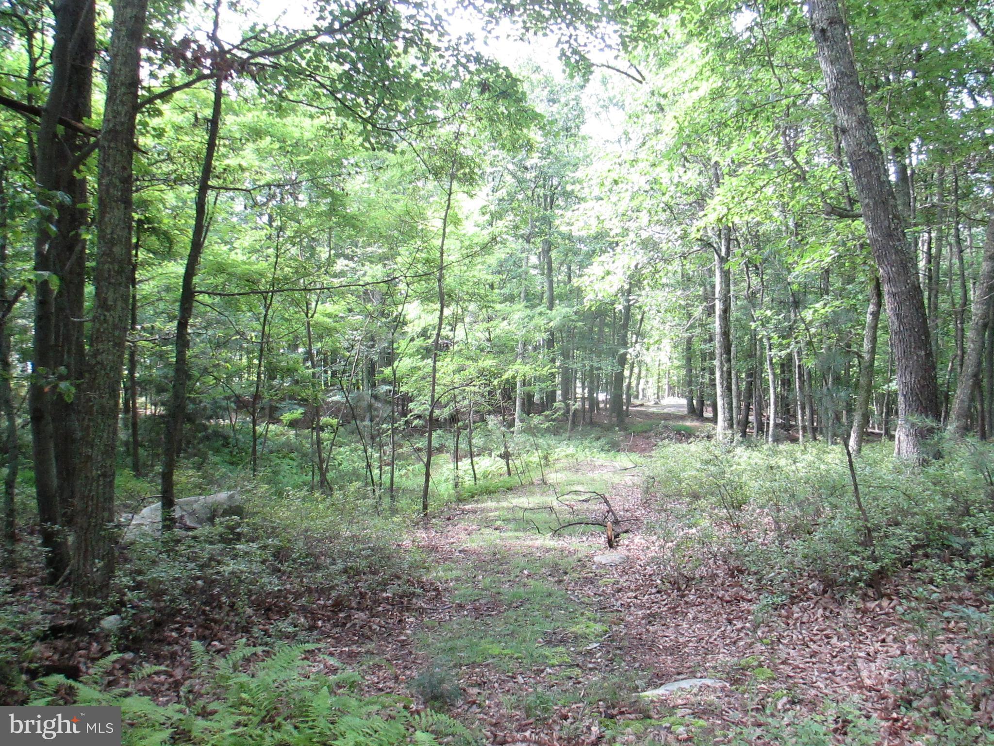 RIVER RIDGE - Land