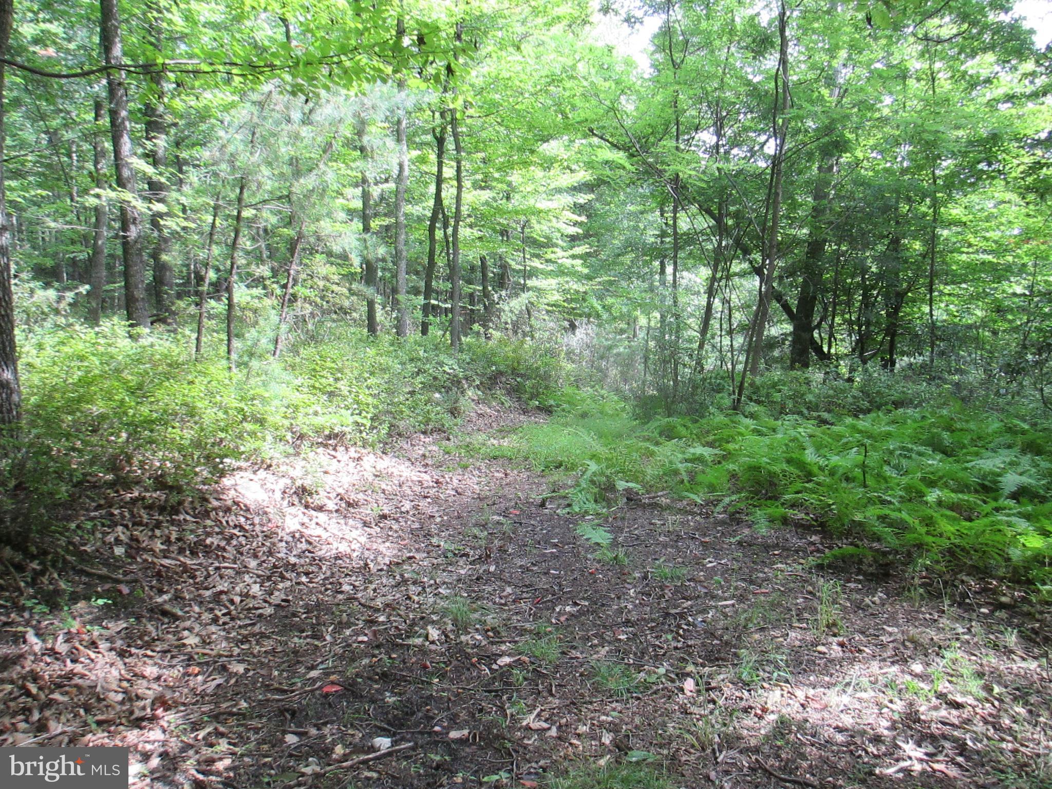 RIVER RIDGE - Land