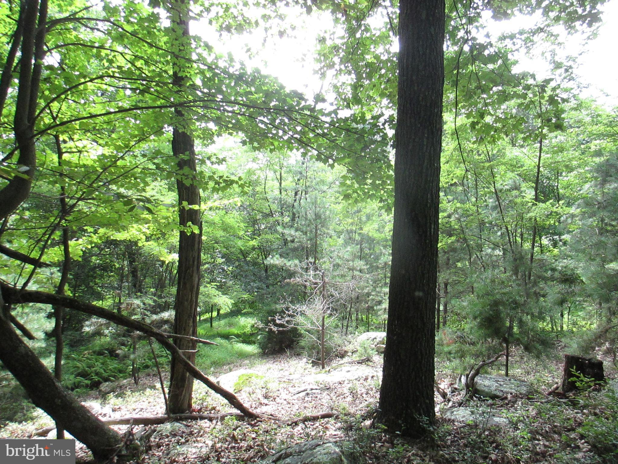 RIVER RIDGE - Land