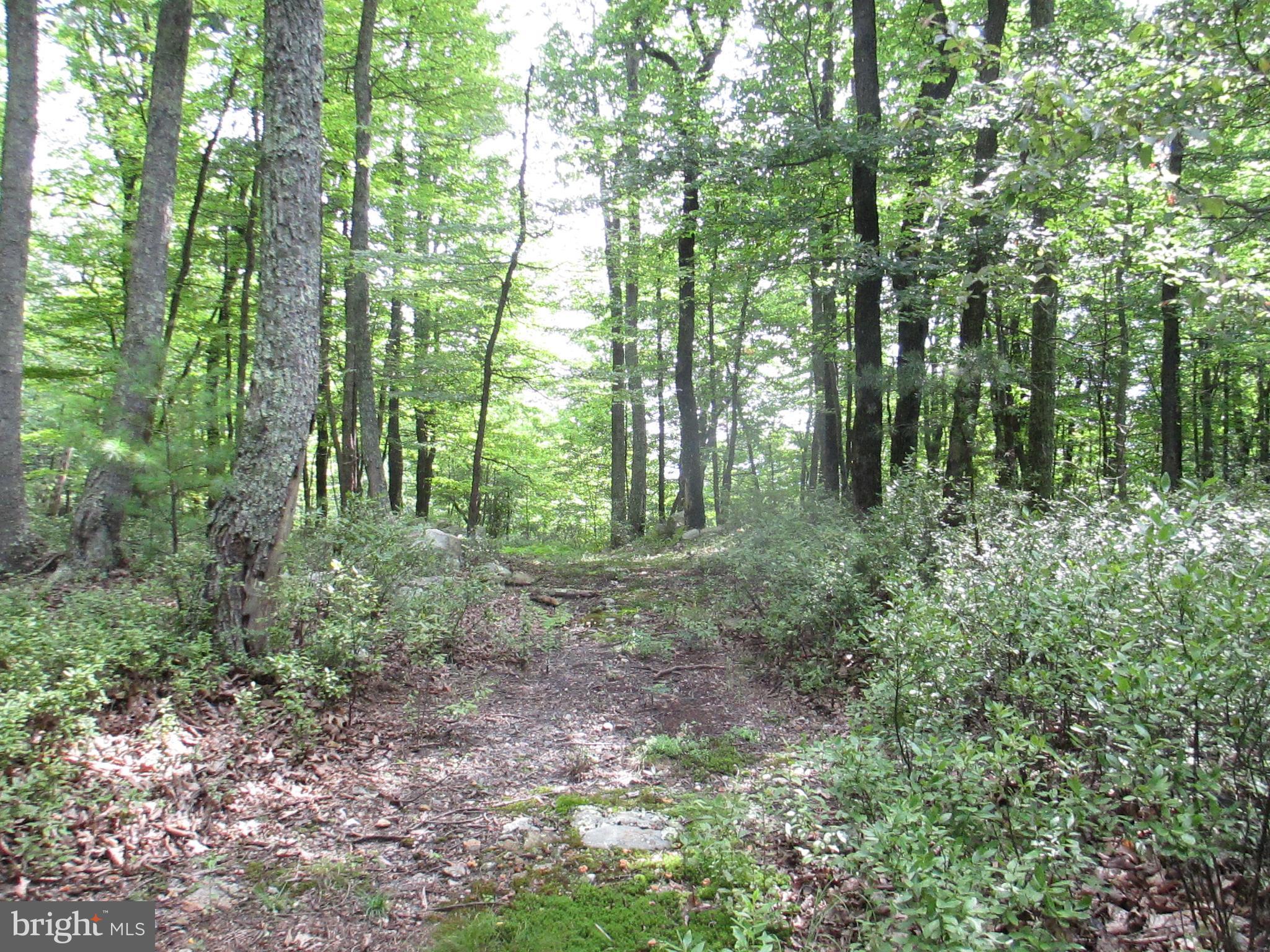 MOTIVATED SELLER!  All reasonable offers will be considered.  Beautiful wooded acreage. Great property for recreation, hunting, camping, or building your dream home. Small pond attracts the wildlife.  A  number of places to choose from to build your home. Property is perked, trails throughout.  Well maintained roads in River Ridge Subdivision.  Interesting rock outcroppings, a variety of terrain, great for horseback riding or ATV's'. Must see to appreciate the peace and privacy this property offers.