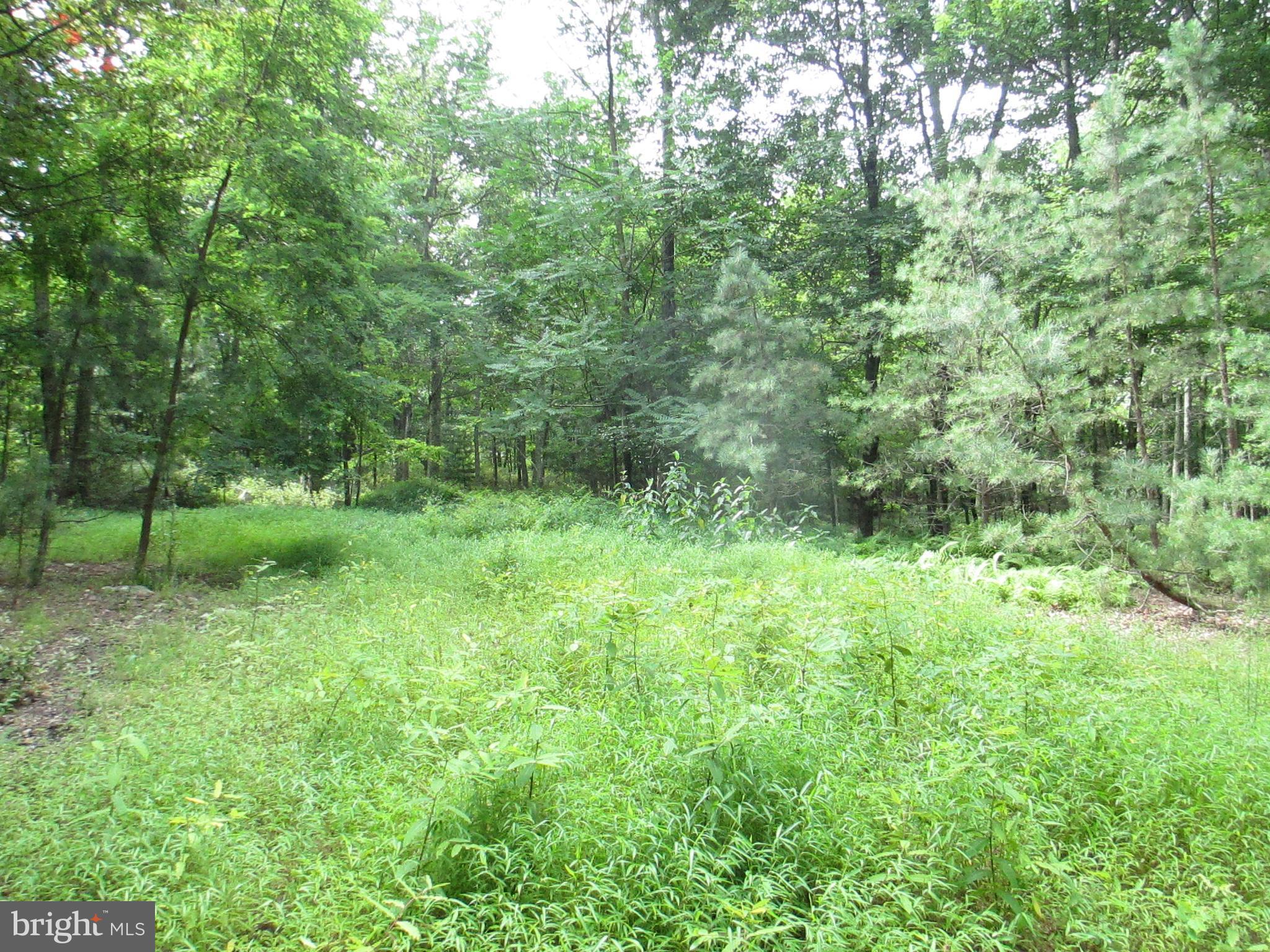 RIVER RIDGE - Land