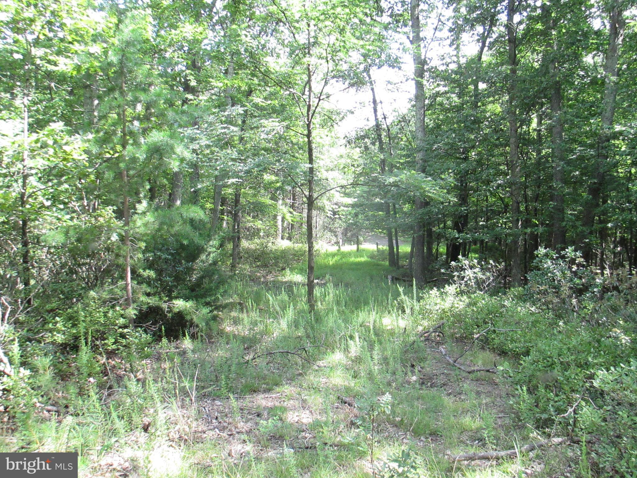 RIVER RIDGE - Land