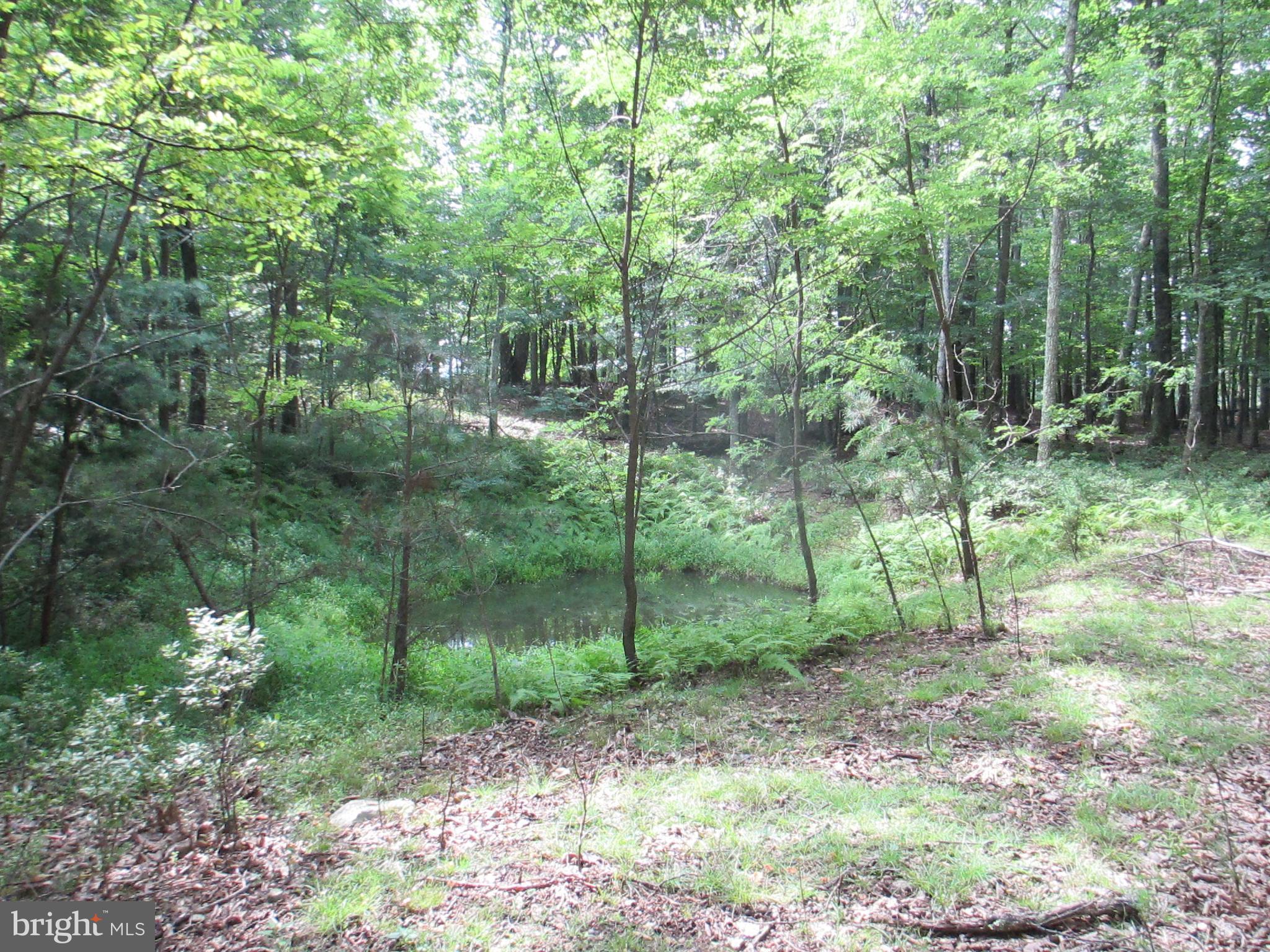 RIVER RIDGE - Land