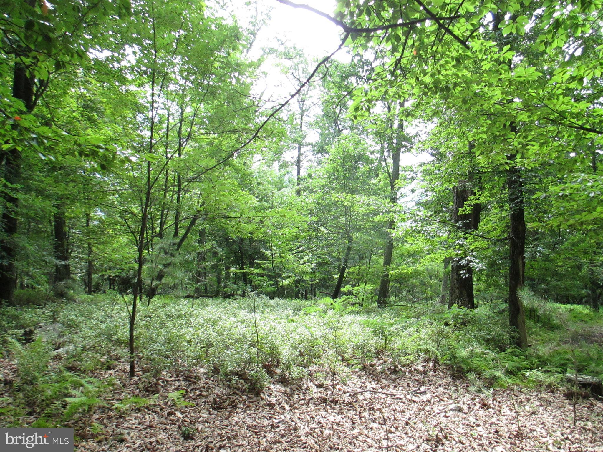 RIVER RIDGE - Land