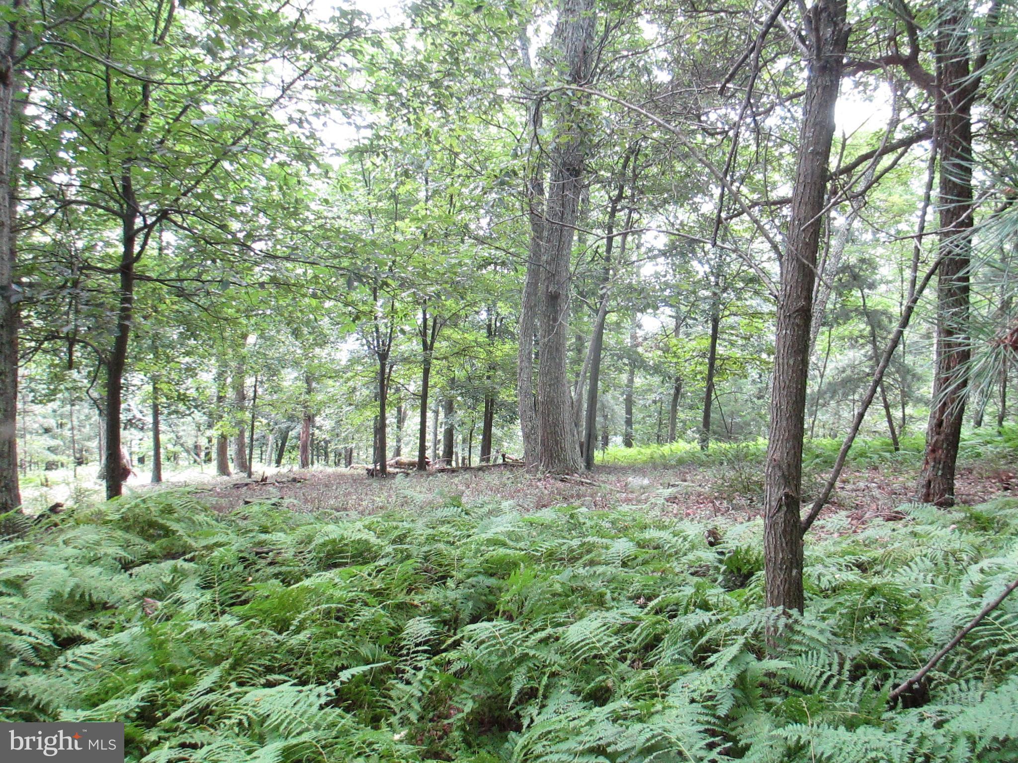RIVER RIDGE - Land