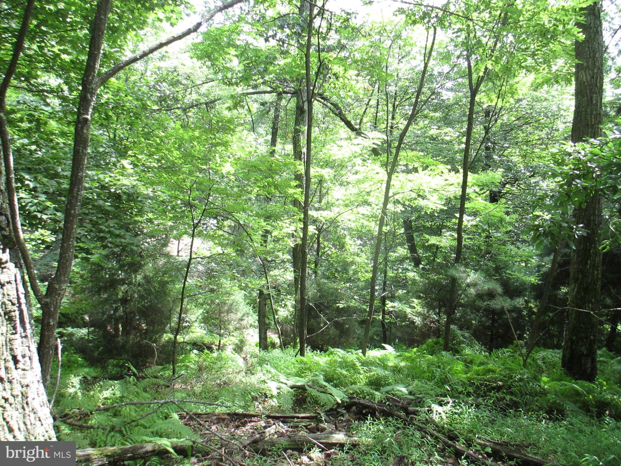 RIVER RIDGE - Land