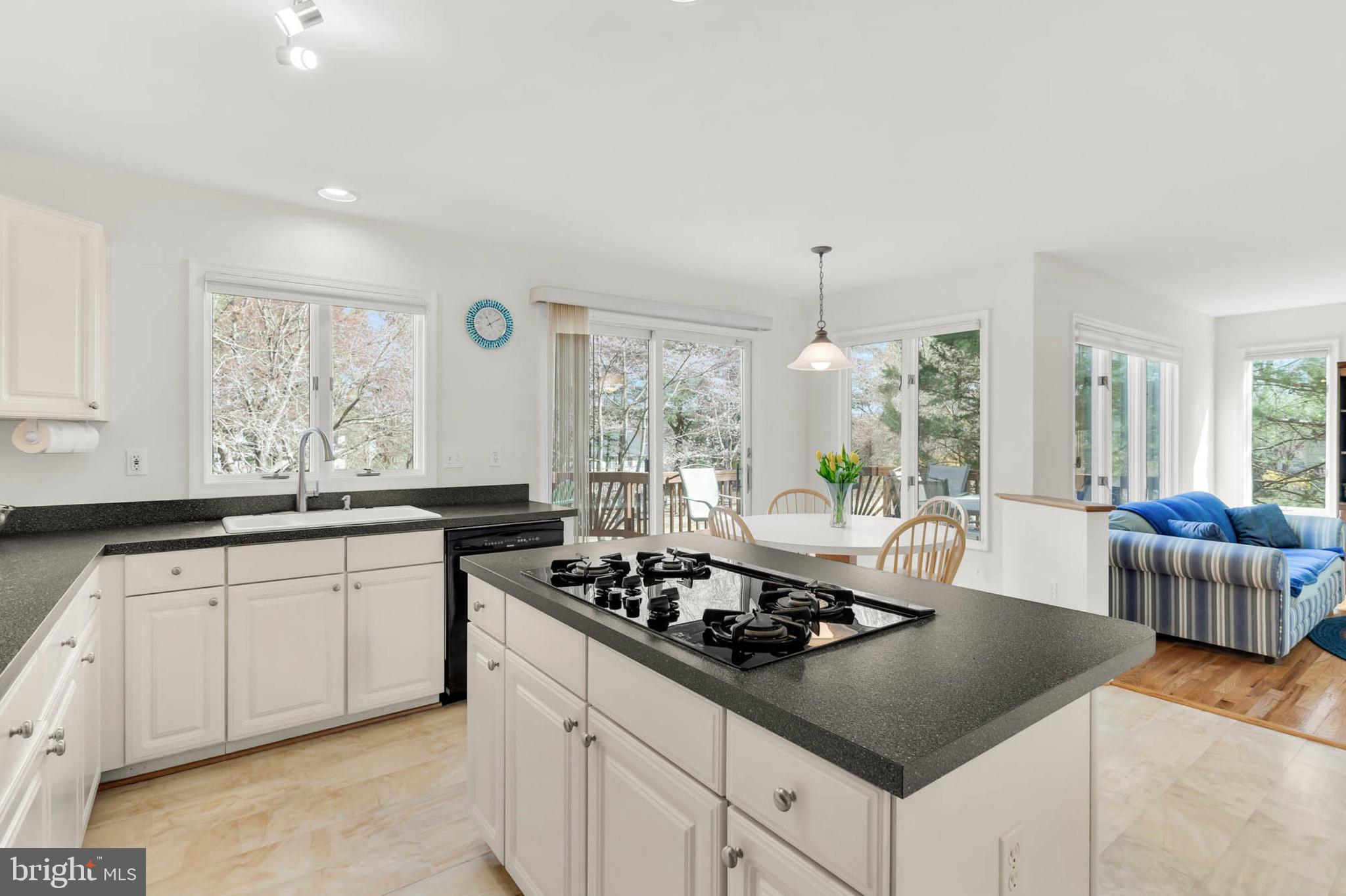 VILLAGE OF RIVER HILL - Residential