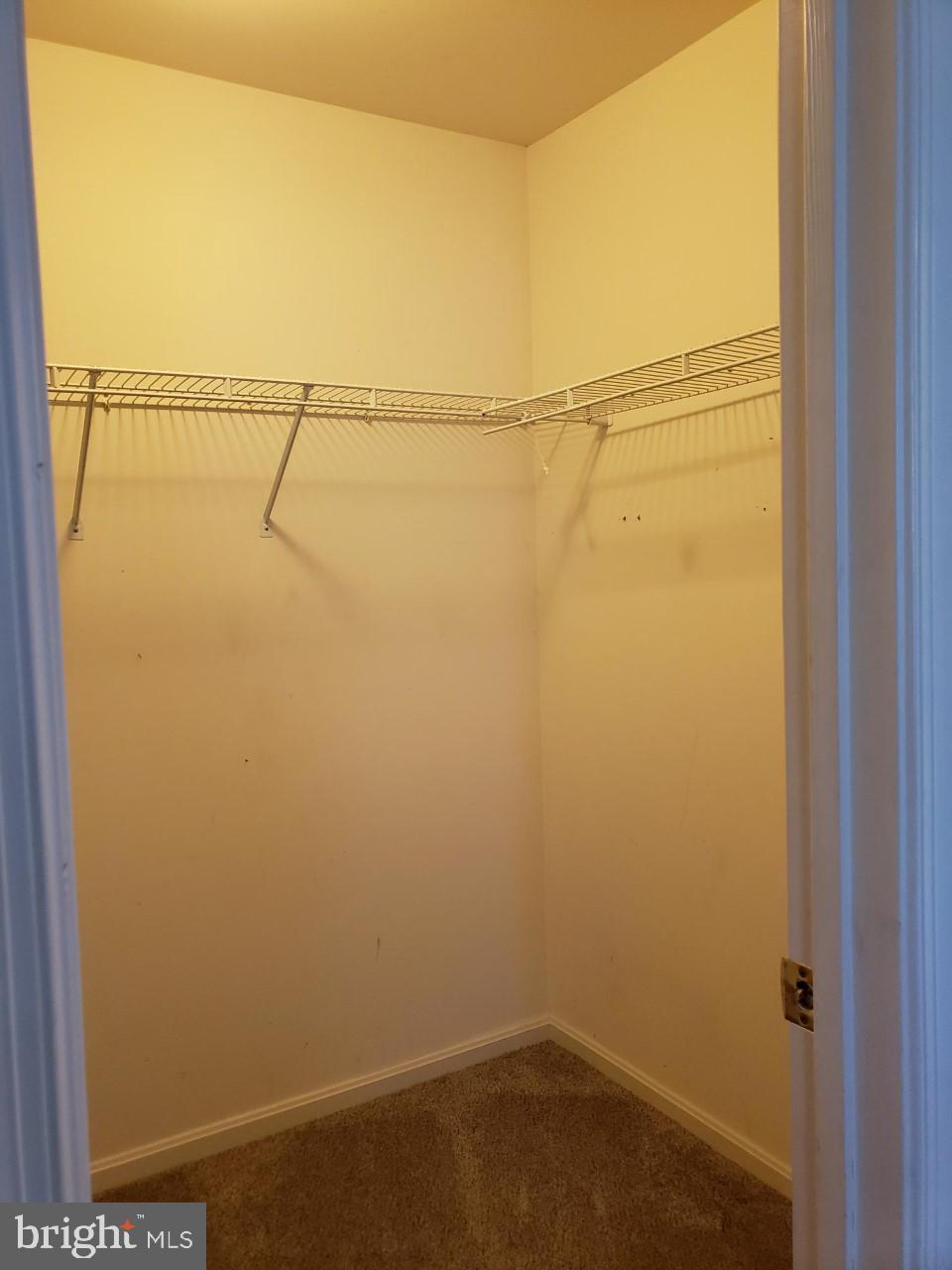 CEDARS OF WARRENTON - Residential Lease