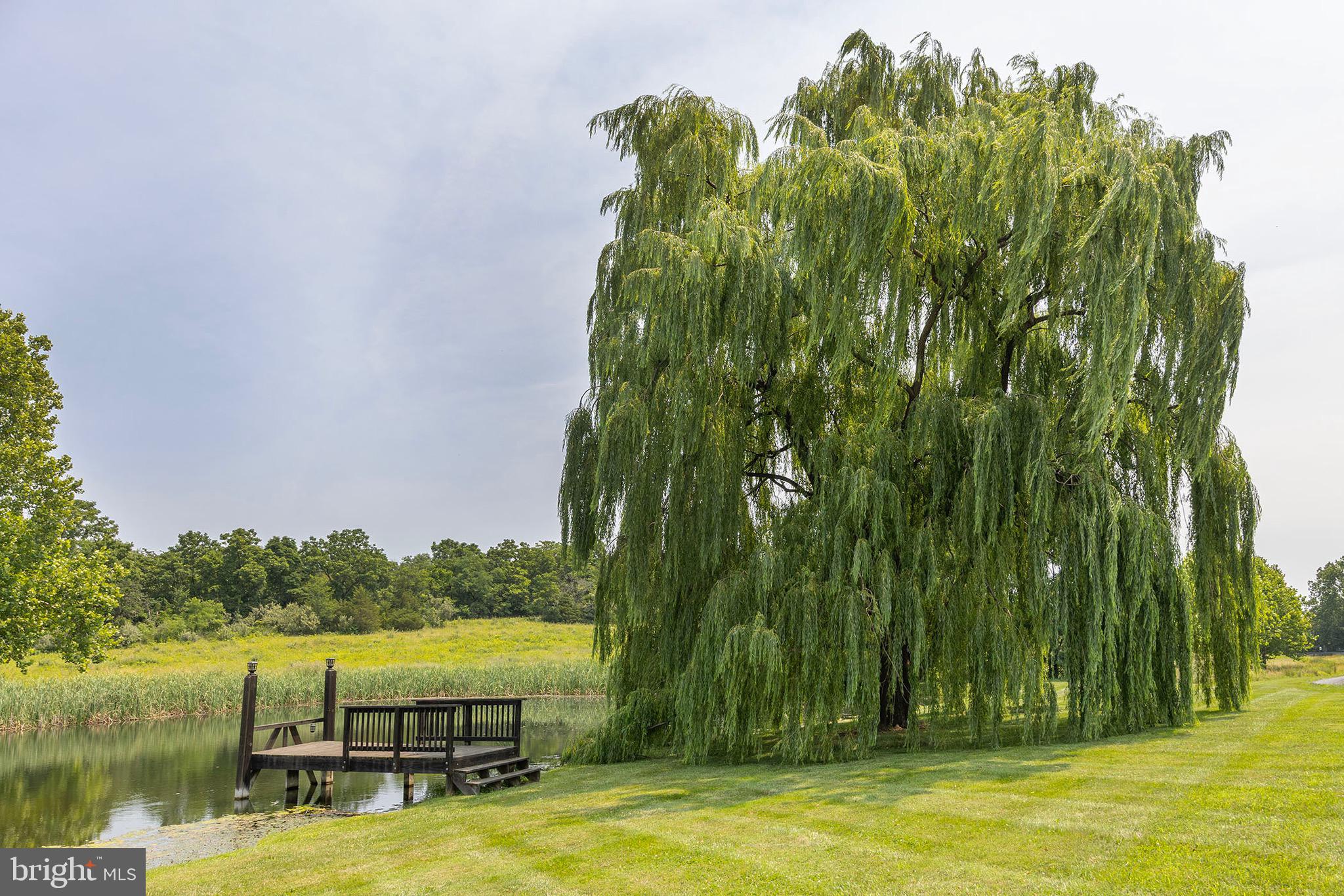 BELLEVILLE FARM - Residential